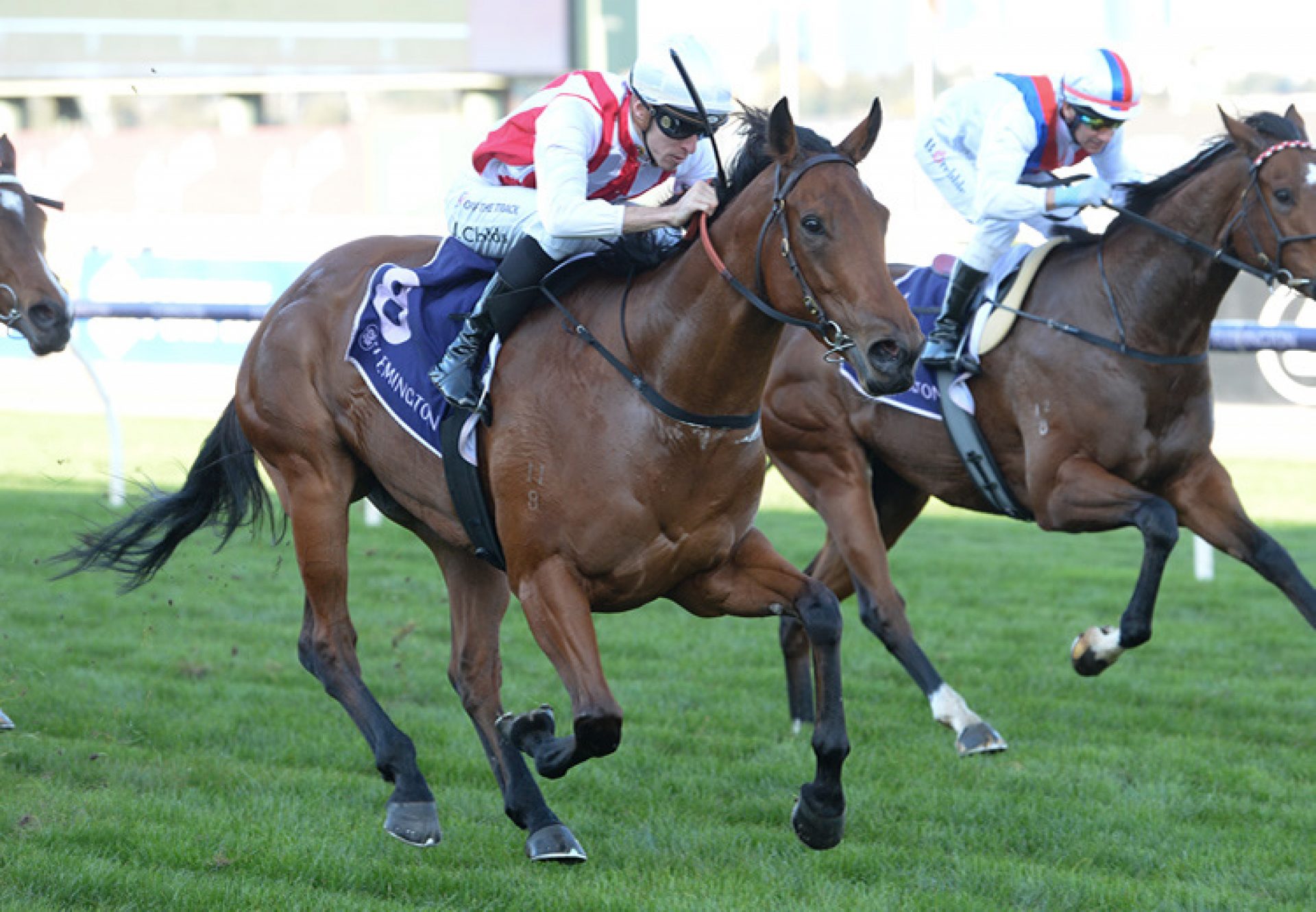 Passive Aggressive (Fastnet Rock) winning the Listed Creswick Stakes at Flemington