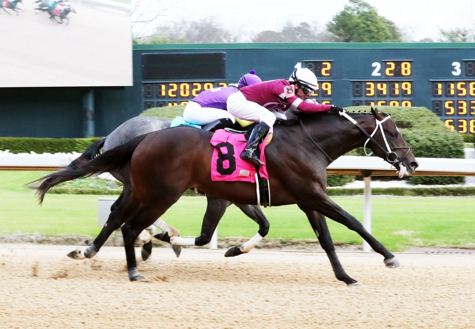 Pneumatic (Uncle Mo) Breaking Oaklawn Maiden