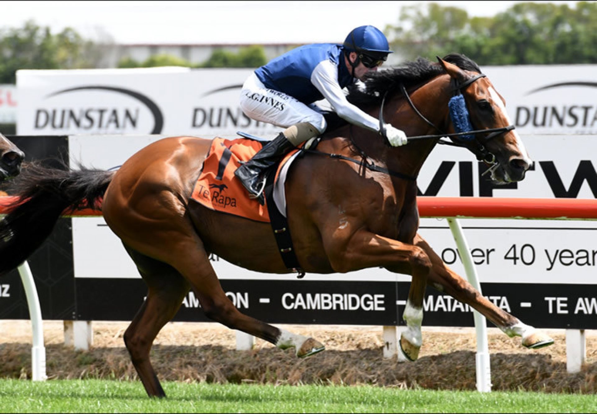 Packing Rockstar (Fastnet Rock) winning the Gr.3 J Swap Sprint at Te Rapa