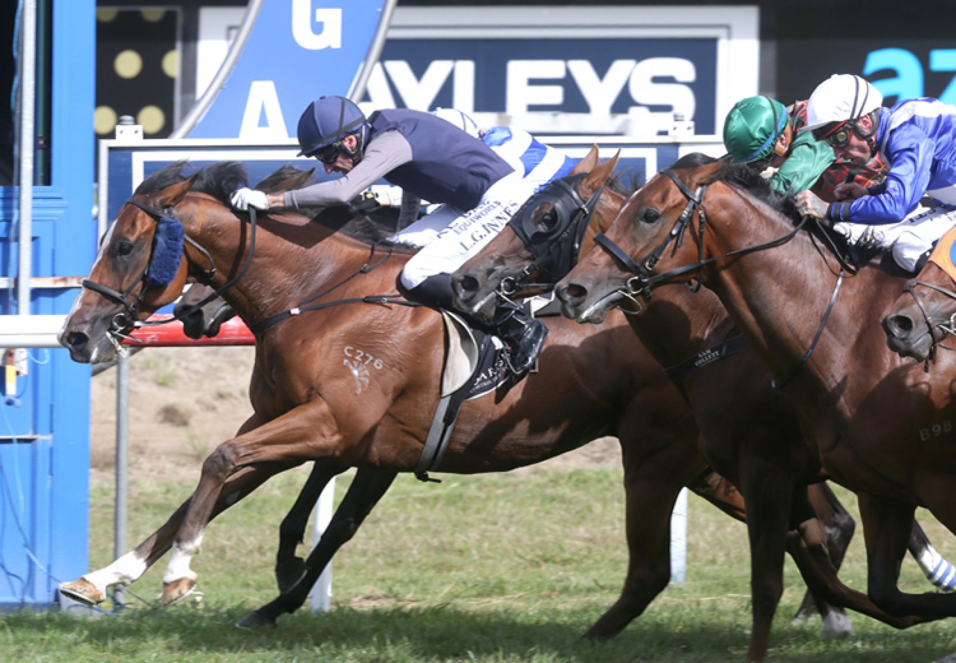 Packing Rockstar (Fastnet Rock) winning the Gr.2 Japan Trophy at Tauranga