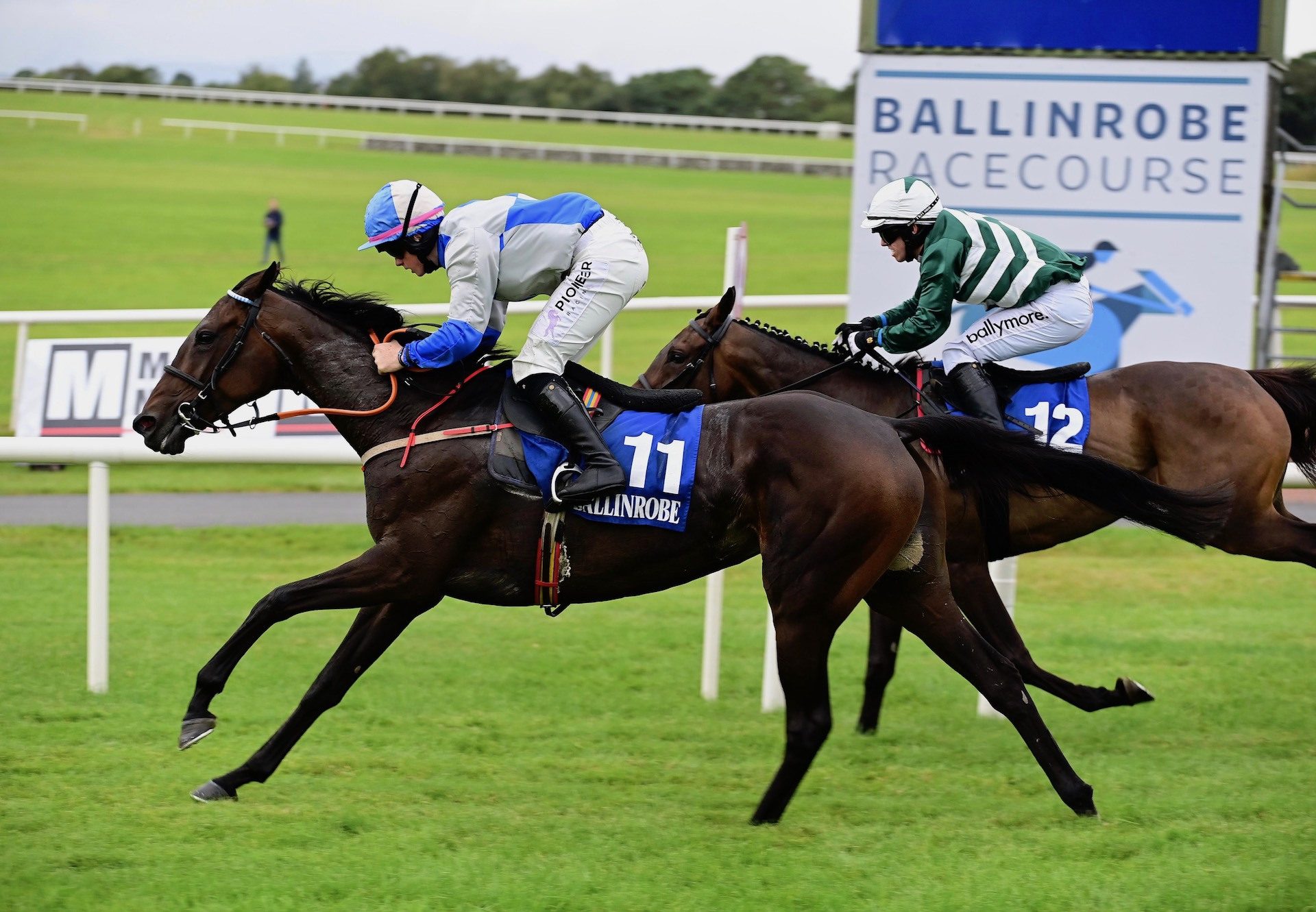 Paidi's Passion (Ocovango) Wins The Mares Maiden Hurdle At Ballinrobe