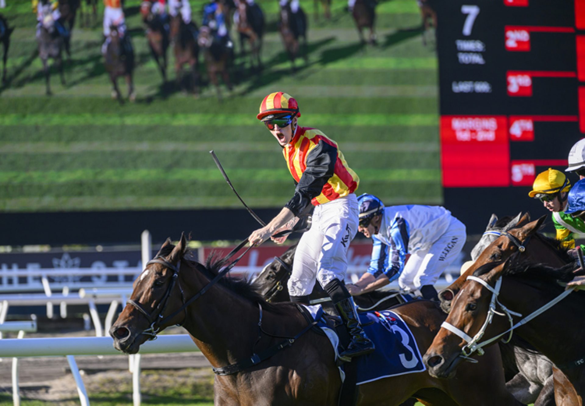 Palaisipan (So You Think) winning the Gr.1 Tattersalls Tiara at Eagle Farm