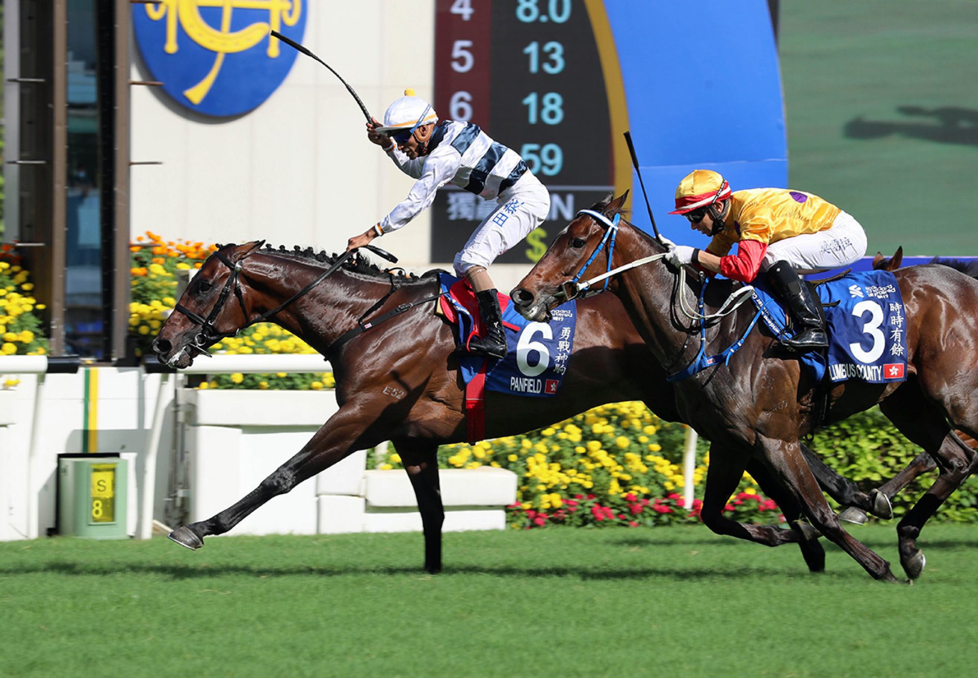 Panfield (Lookin At Lucky)  winning the Gr.1 Chater Cup