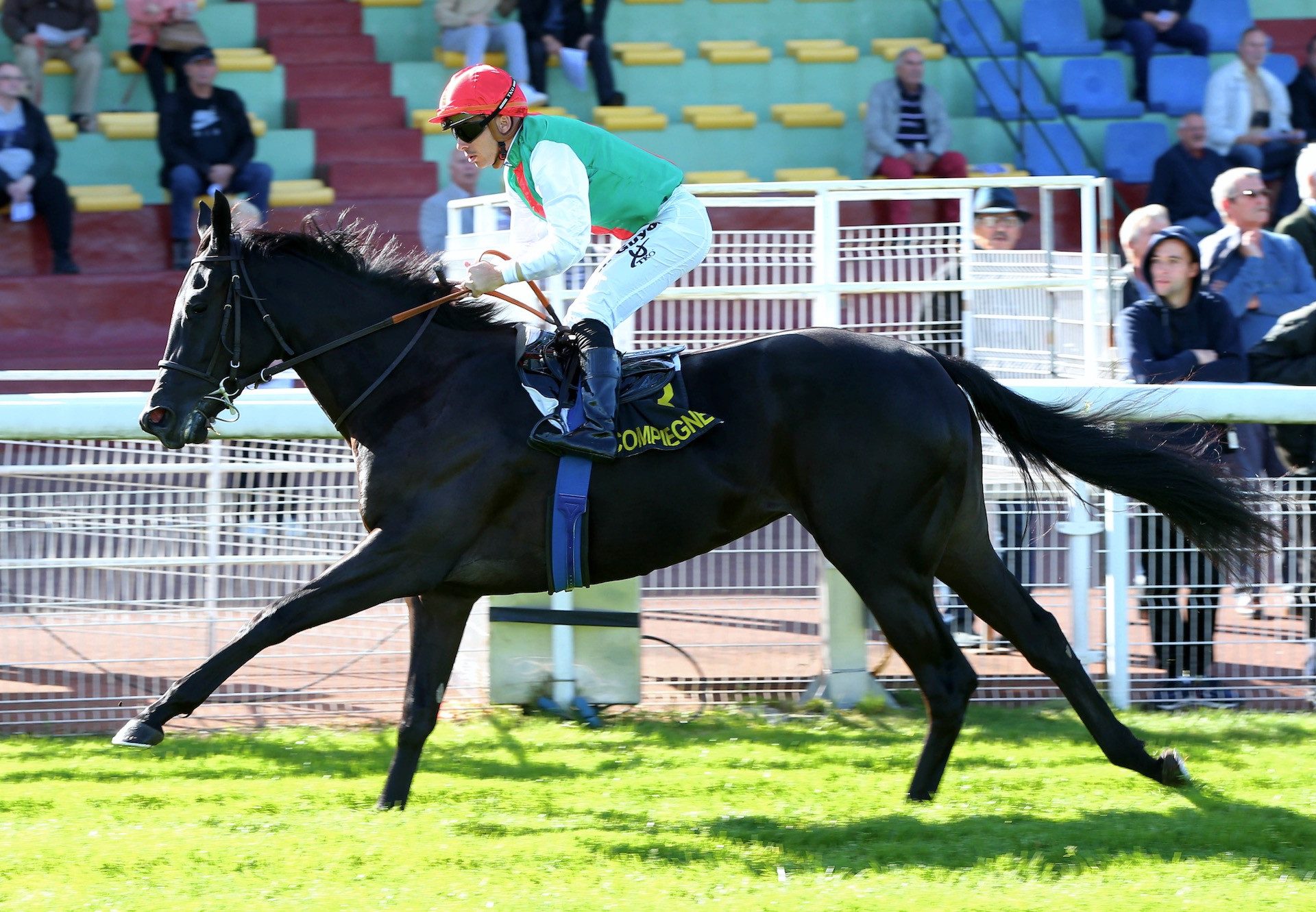 Pantera Nera (Sioux Nation) Gets Off The Mark At Compiegne