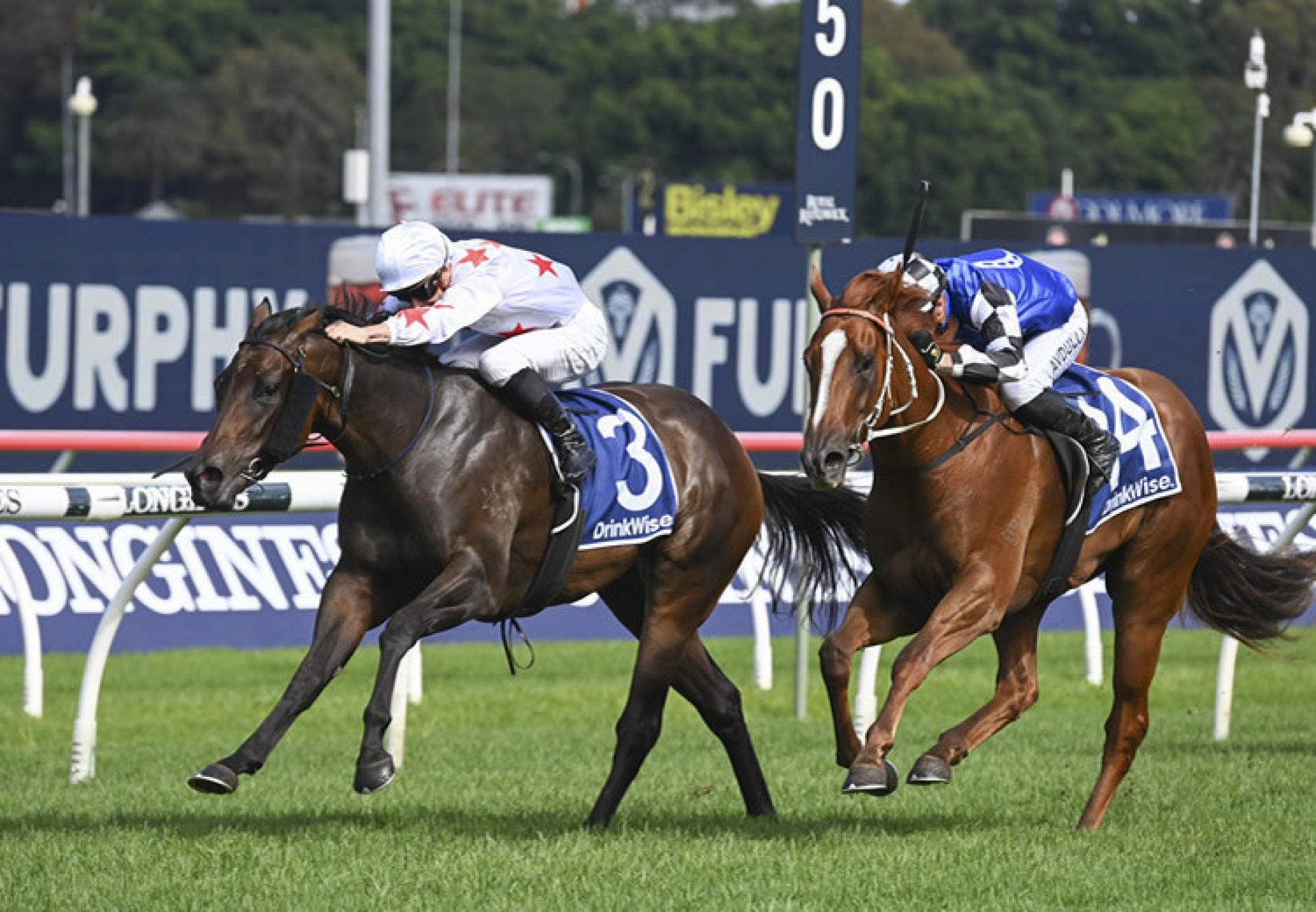 Paris Dior (Pierro) winning the Gr.2 Percy Sykes at Randwick