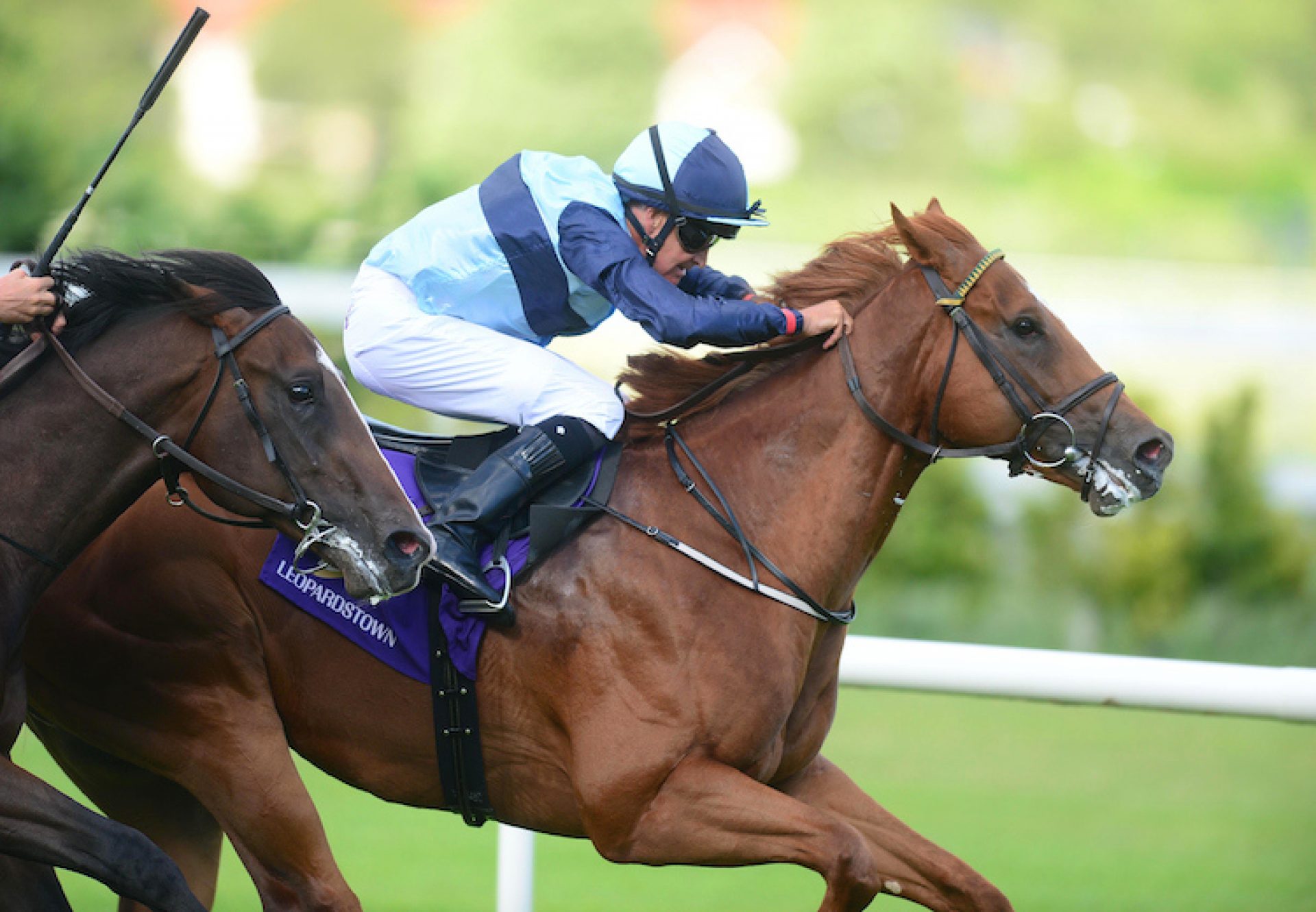 Parkers Hill (No Nay Never) winning a maiden at Leopardstown