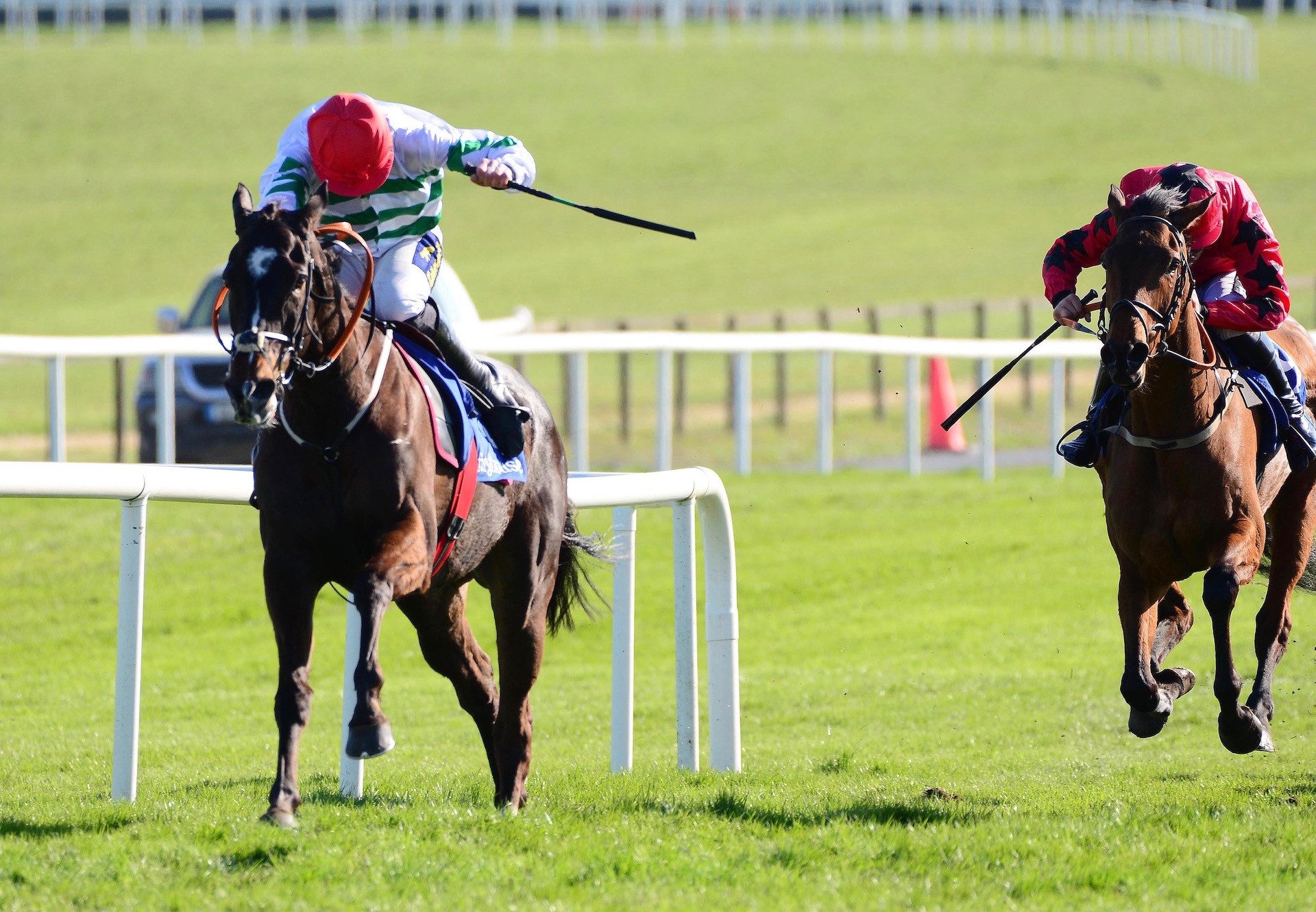 Party Central (Yeats) Wins The Listed Bumper At Fairyhouse