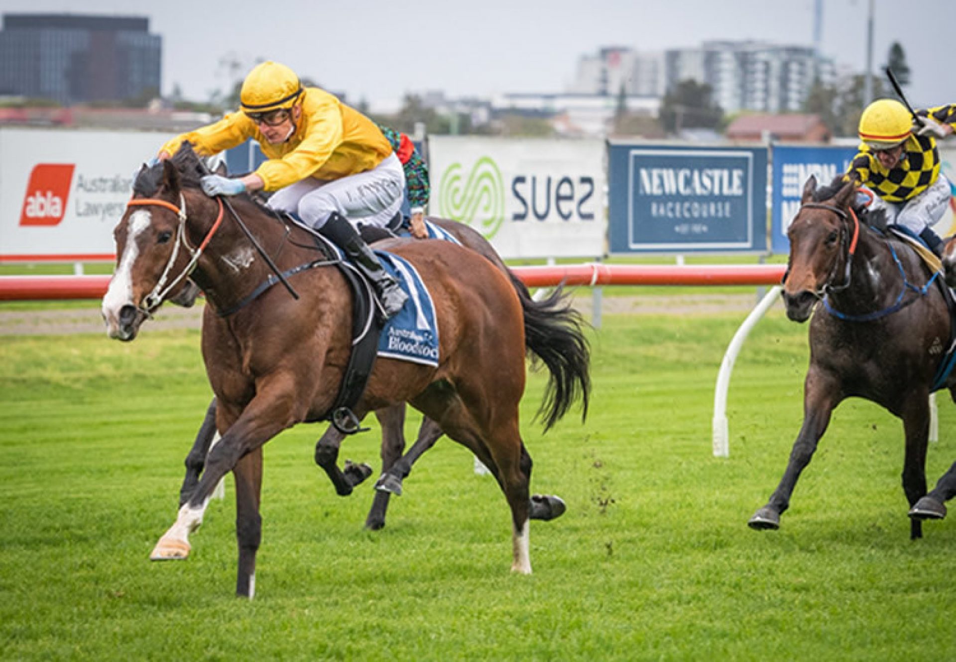 Pascal (So You Think) winning the Newcastle Jockey Club