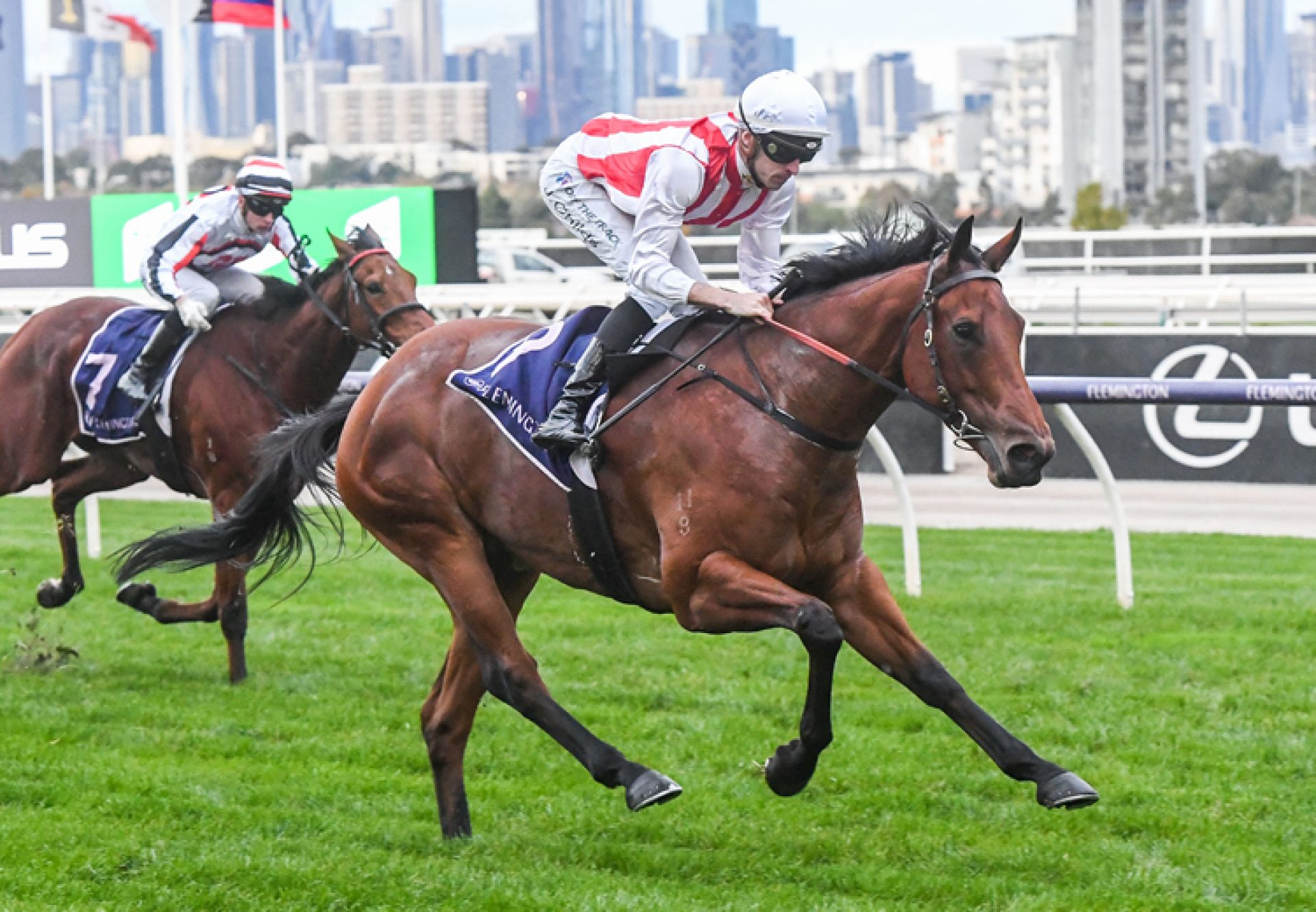 Passive Aggressive (Fastnet Rock) winning at Flemington