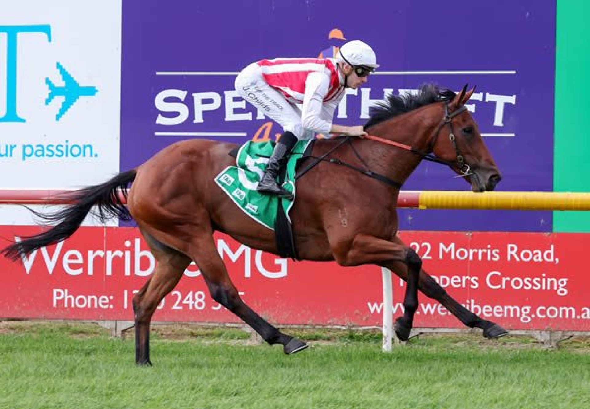 Passive Aggressive (Fastnet Rock) winning at Werribee