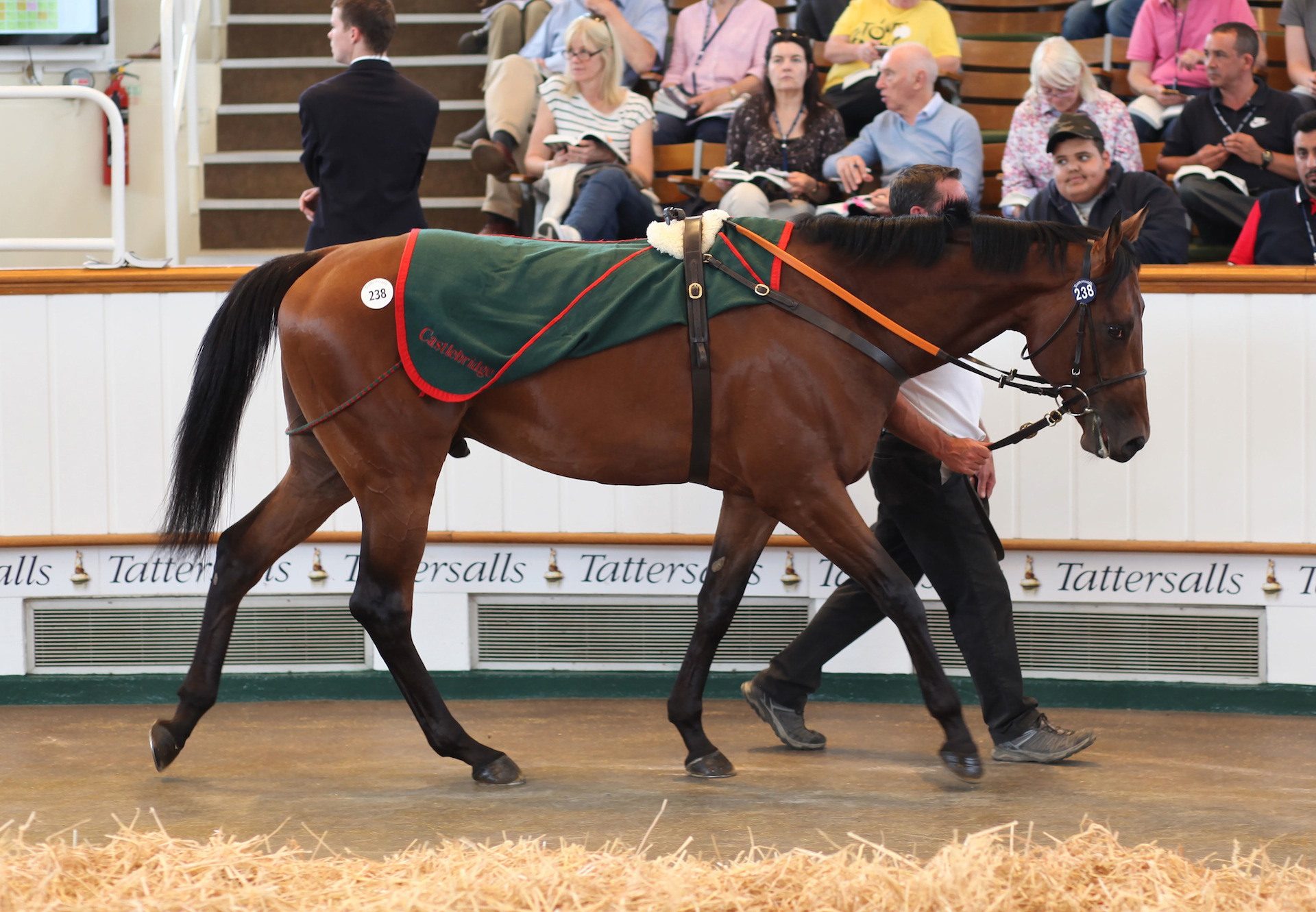 Patrick Sarsfield (Australia) Sells At Tattersalls