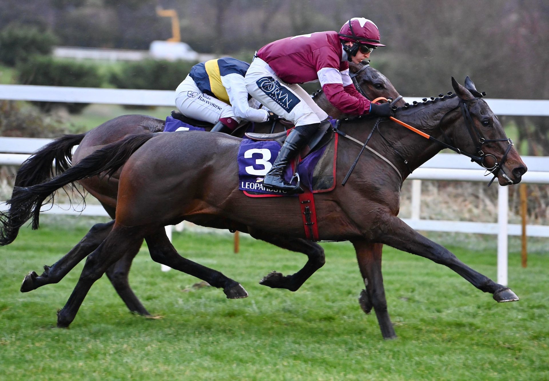 Patter Merchant (Walk In The Park) Wins The Bumper At Leopardstown