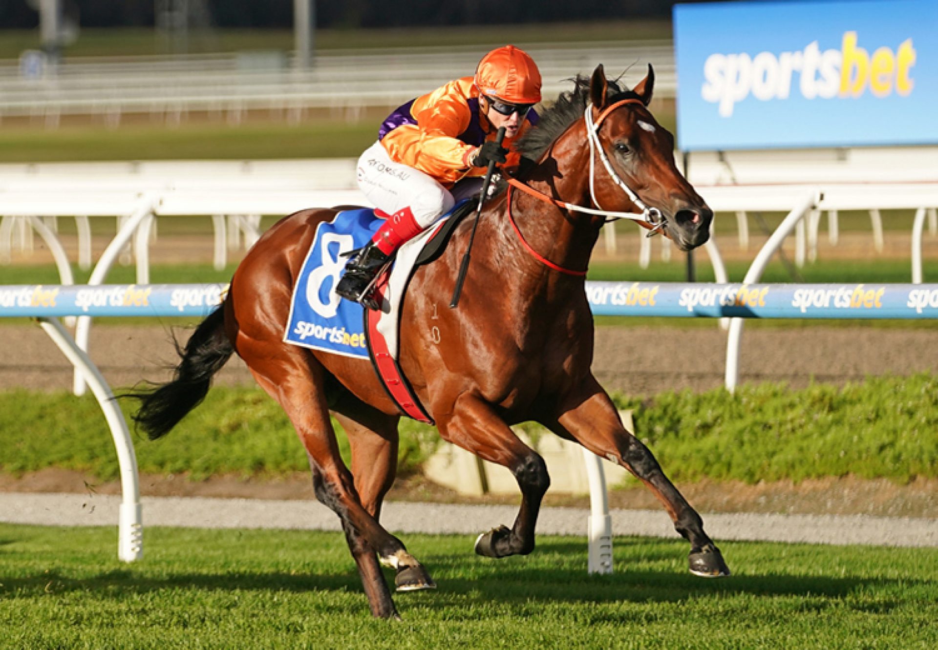 Patton (American Pharoah) winning at Pakenham