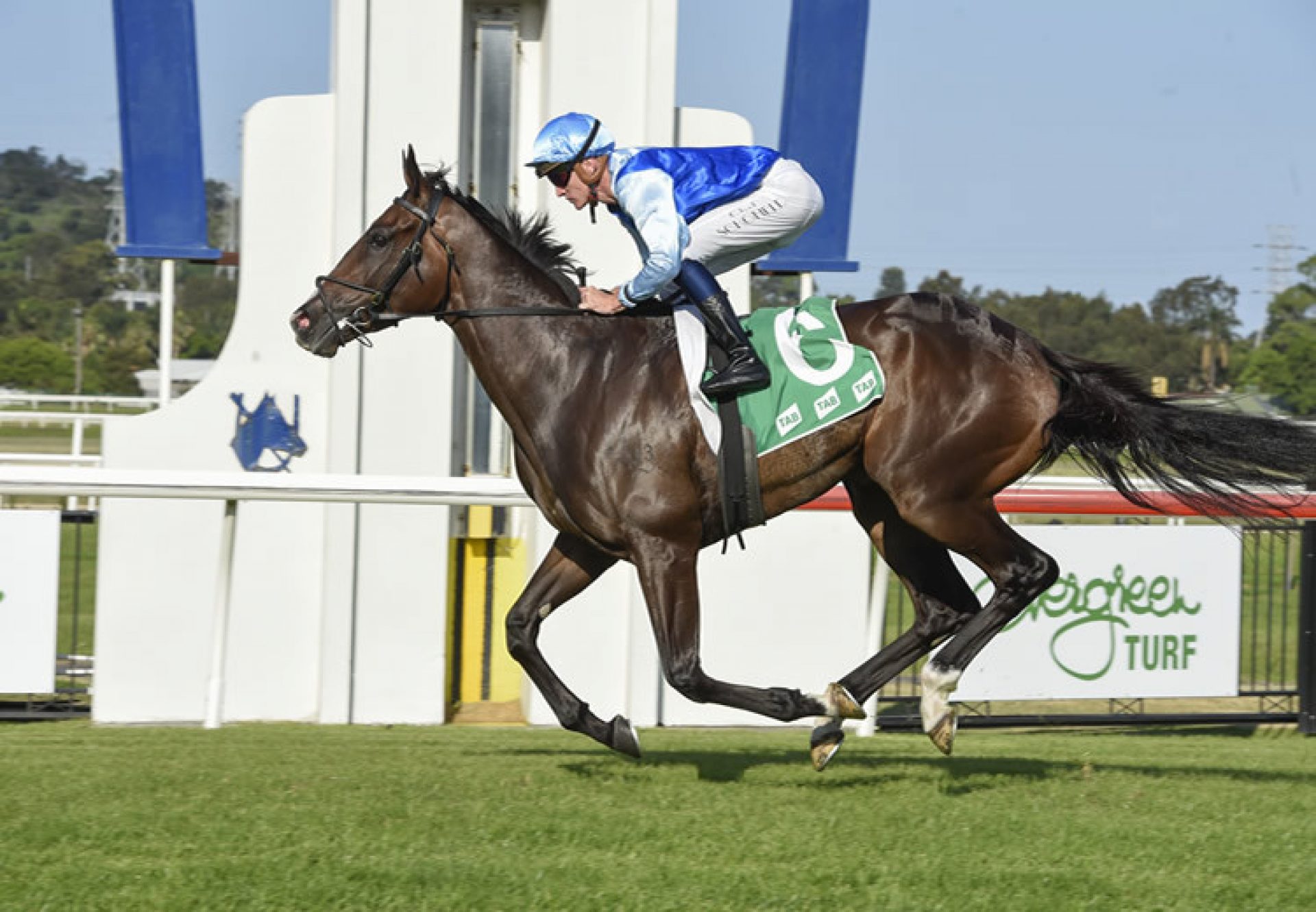 Pavitra (American Pharoah) wins at Kembla Grange