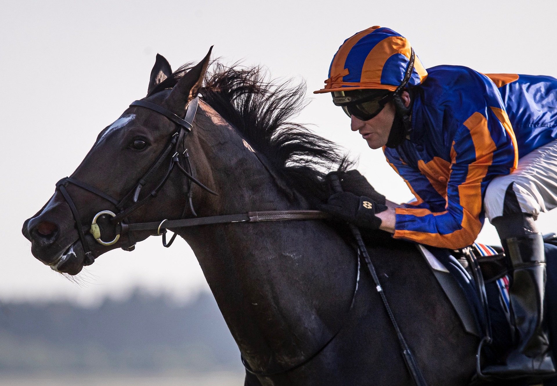 Peaceful (Galileo) Wins The Irish 1000 Guineas at the Curragh
