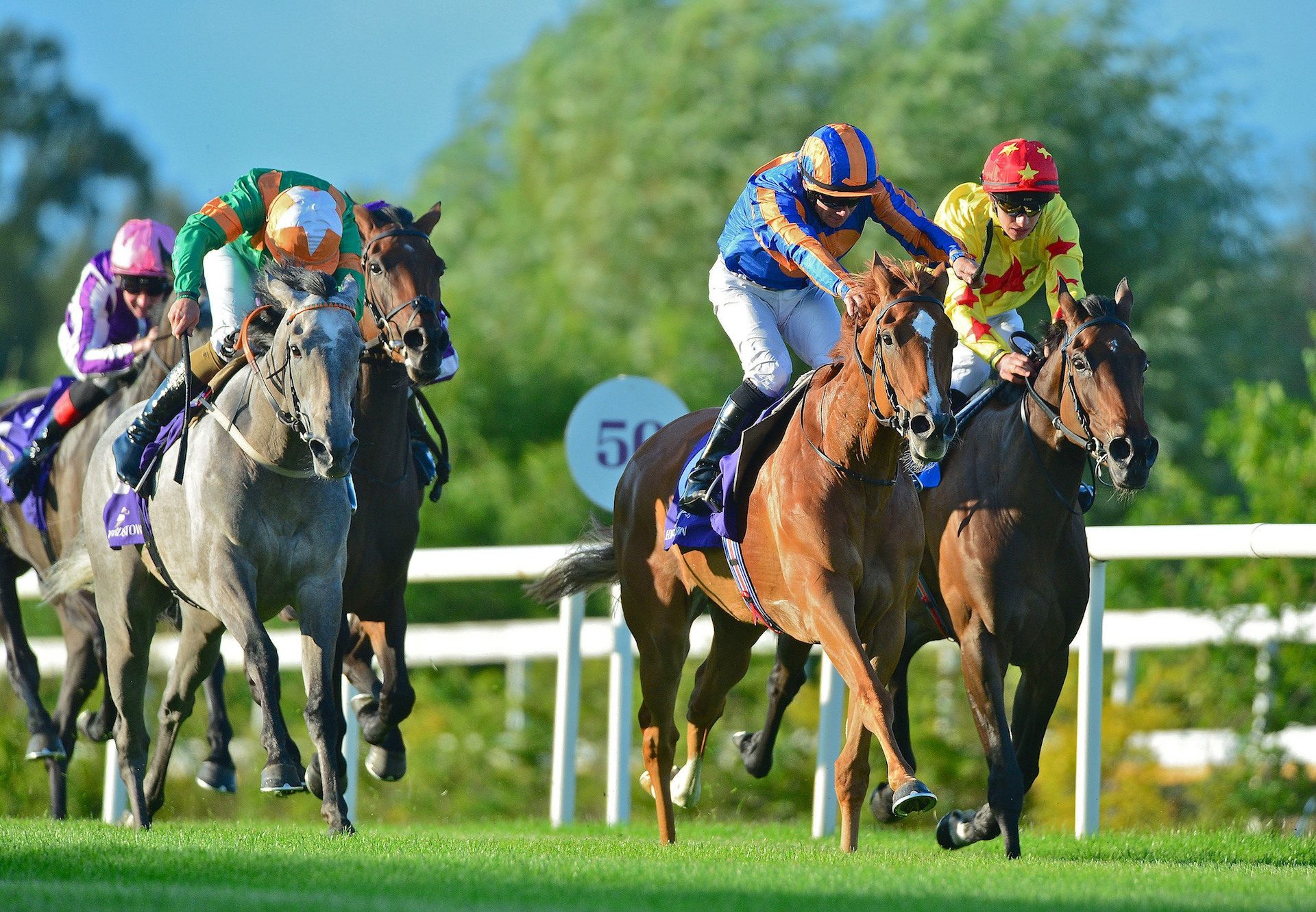 Peach Tree (Galileo) wins the Group 3 Stanerra Stakes at Leopardstown