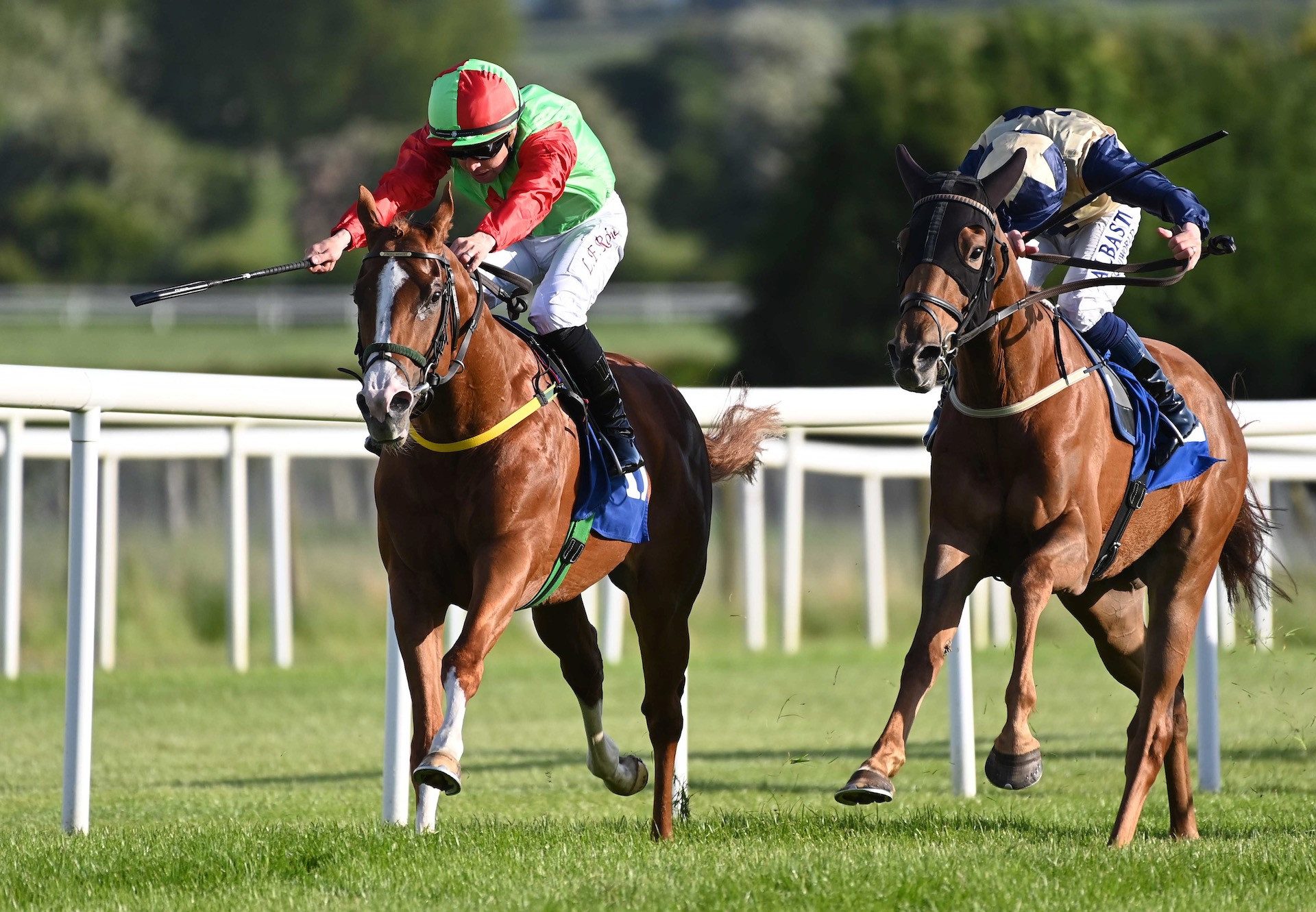 Pearl Of Australia (Australia) Wins His Maiden At Roscommon