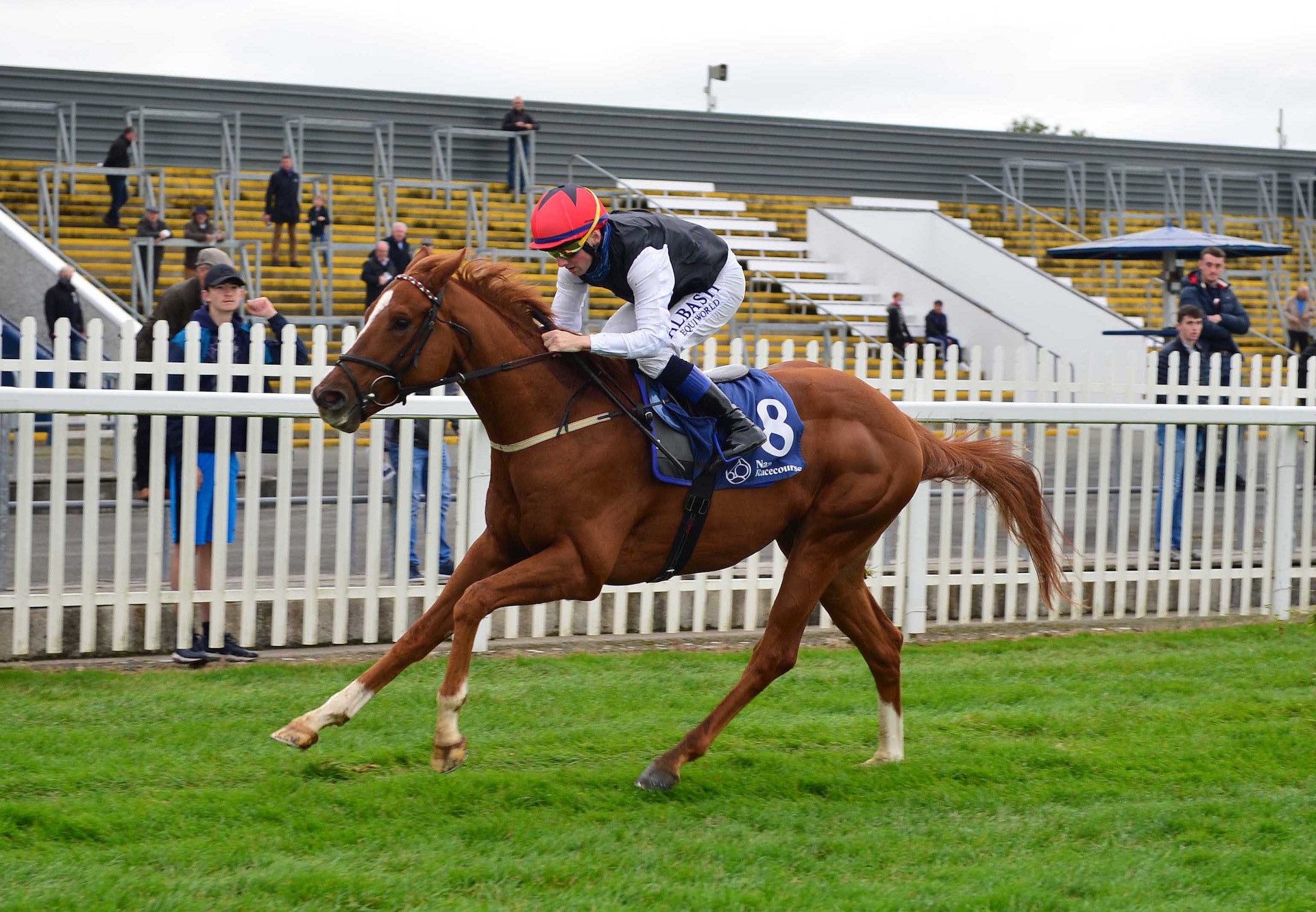 Pearle D'Or (Starspangledbanner) Makes A Winning Debut At Naas