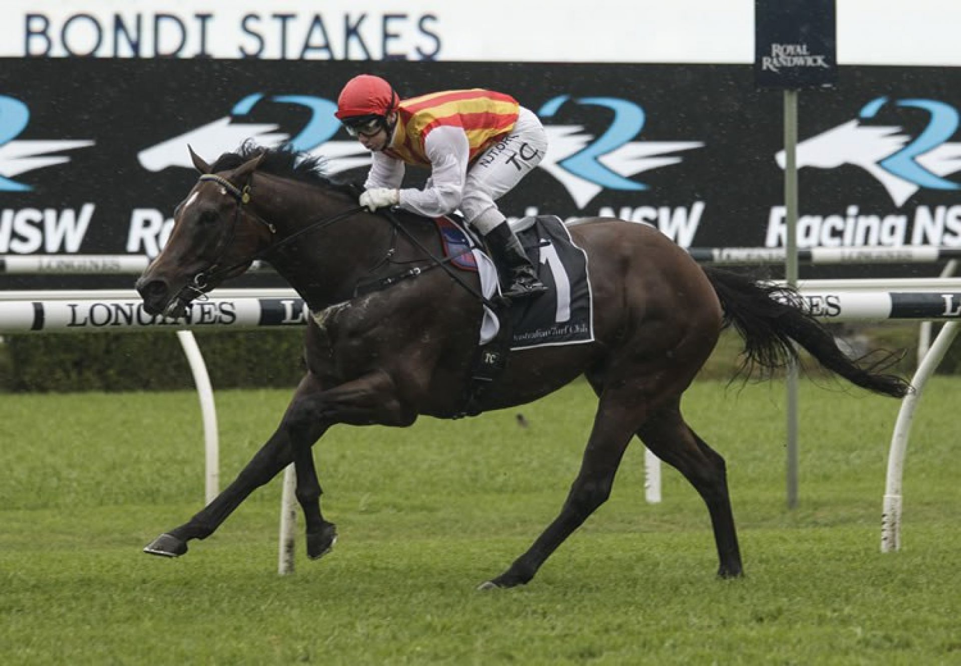 Peltzer (So You Think) wins the Bondi Stakes at Randwick