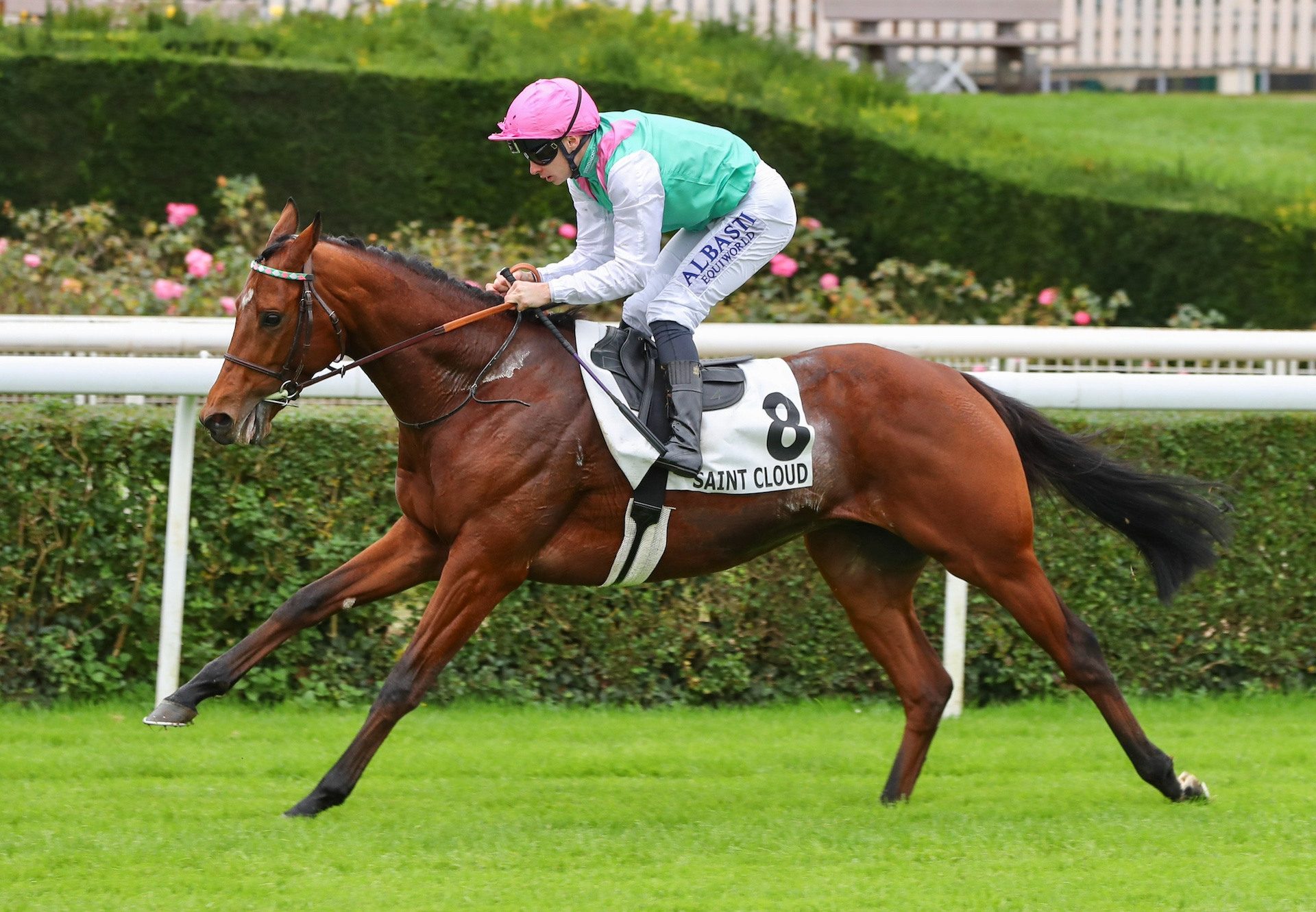 Percival Wins At Saint Cloud