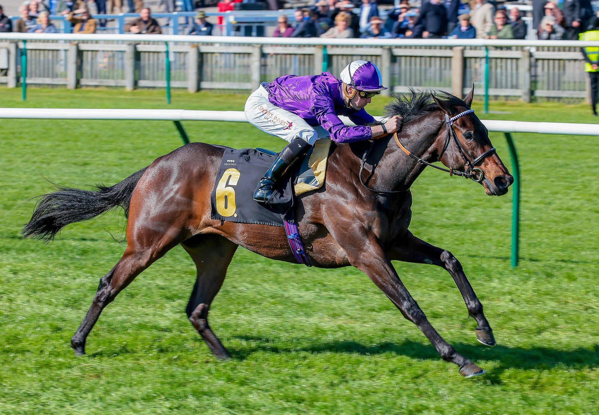 Persian Dreamer (Calyx) winning at Newmarket