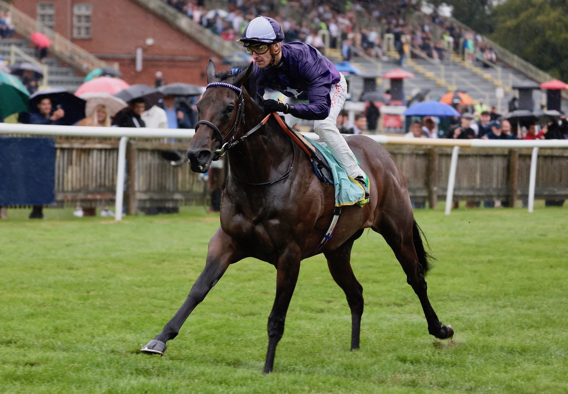 Persian Dreamer (Calyx) Wins The Group 2 Duchess Of Cambridge Stakes at Newmarket