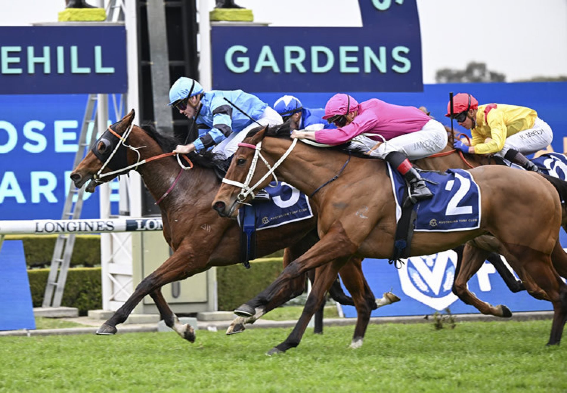 Petulant (Starspangledbanner) winning at Rosehill