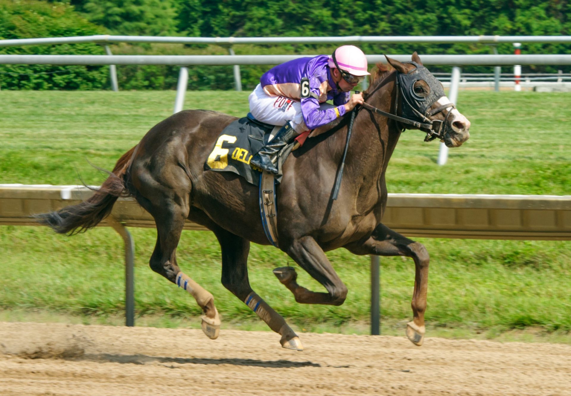 Phat Man (Munnings) Wins Battery Park Stakes at Delaware