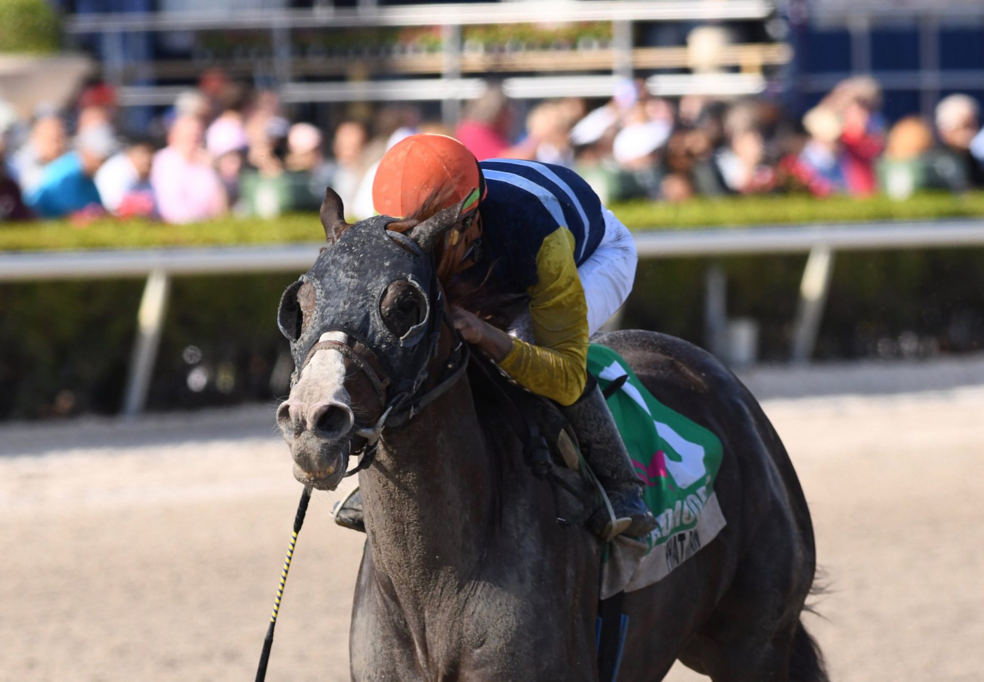 Phat Man (Munnings) Wins Gr.3 Fred Hooper at Gulfstream Park