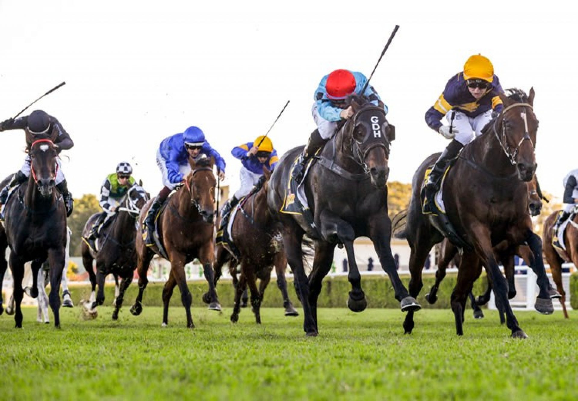 Pierata (Pierro) winning the All Ages Stakes