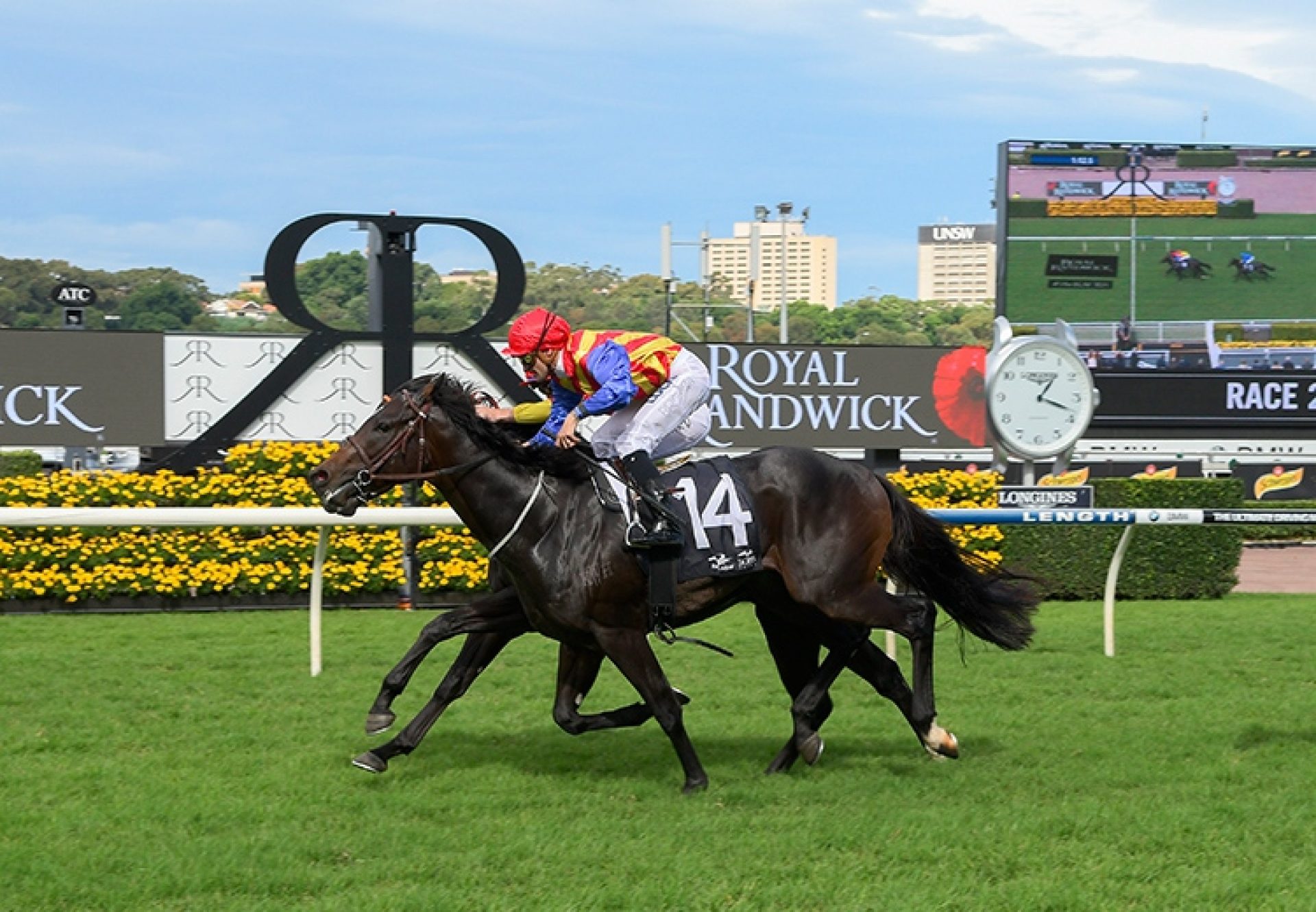 Pierata (Pierro) winning the G3 BRC Vo Rogue Plate at Doomben