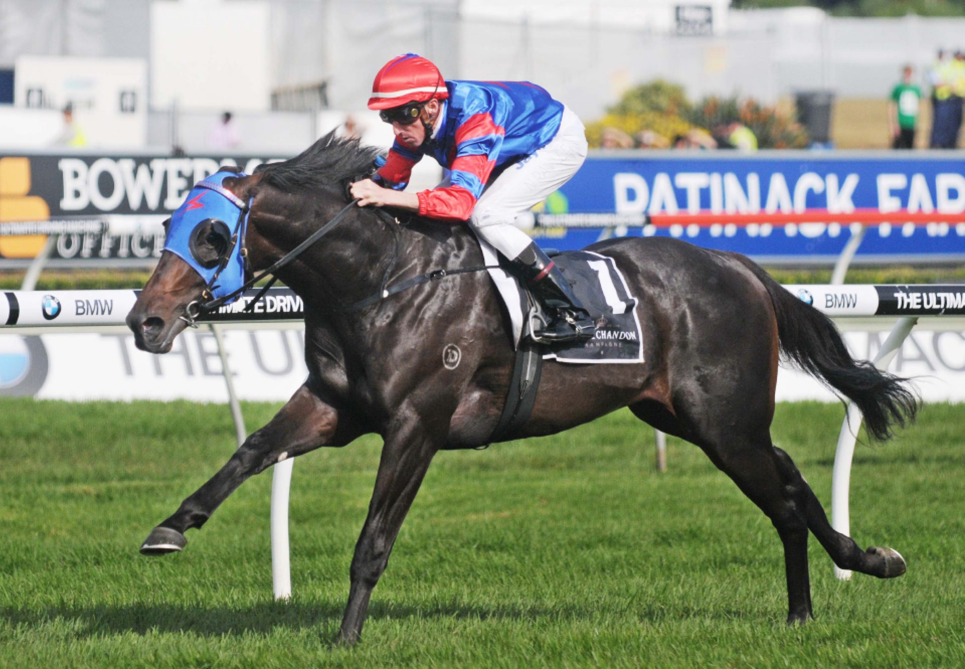 Pierro winning the Champagne Stakes