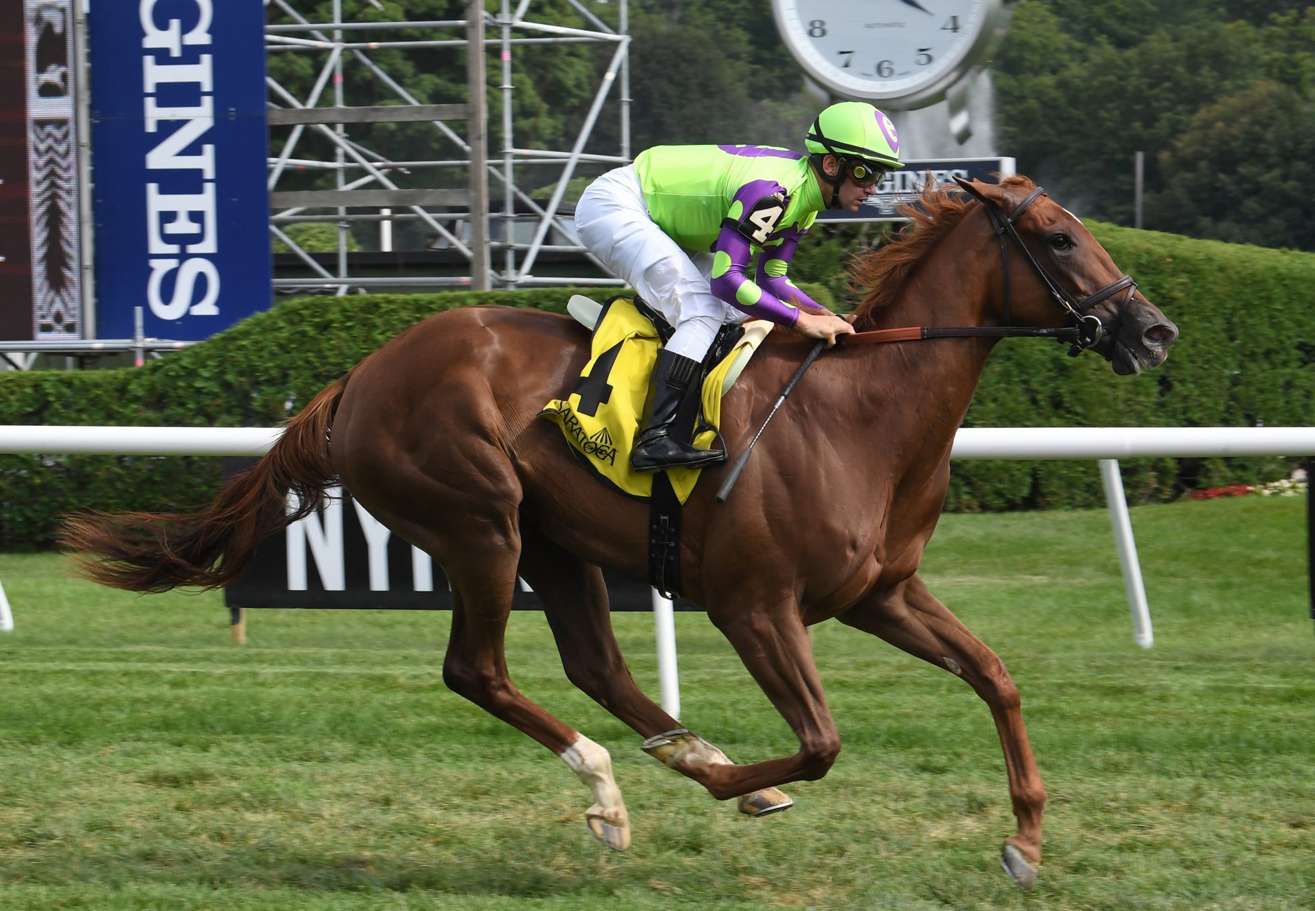 Pink Hue (Mendelssohn) Wins Saratoga MSW