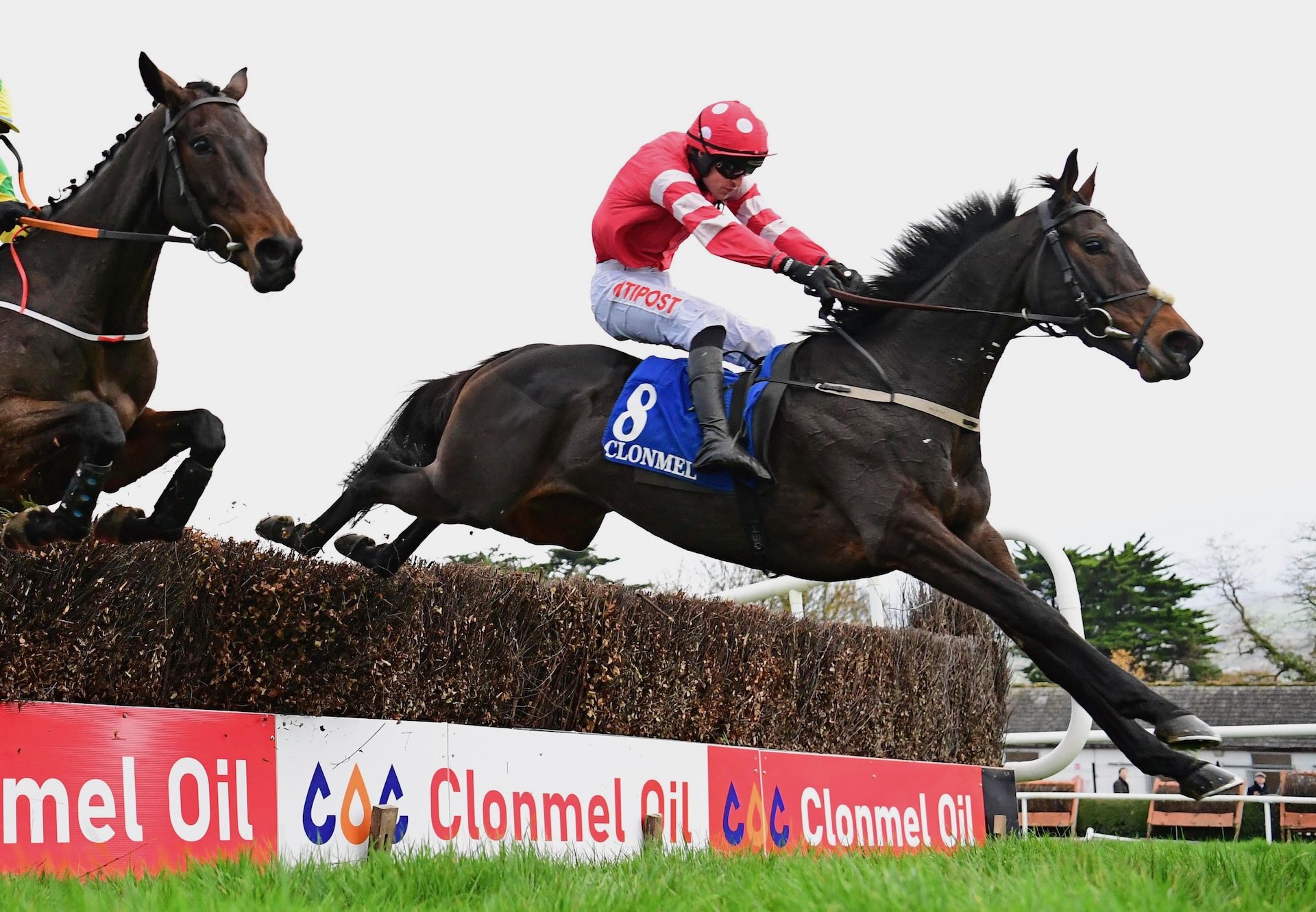 Pink In The Park (Walk In The Park) Wins The Listed Mares Chase At Clonmel