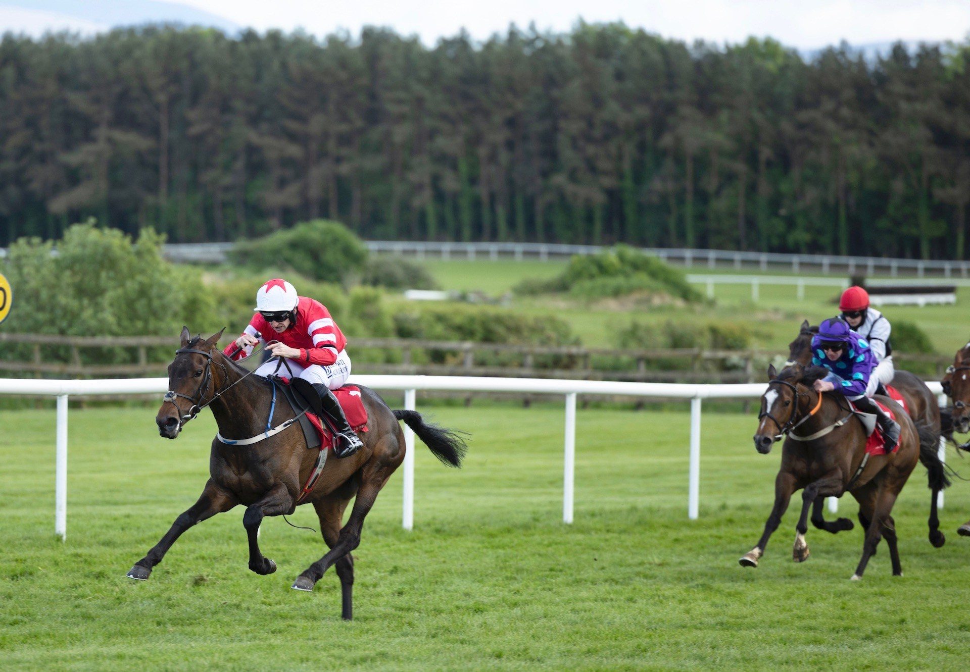 Pink In The Park (Walk In The Park) Wins The Mares Bumper At Punchestown