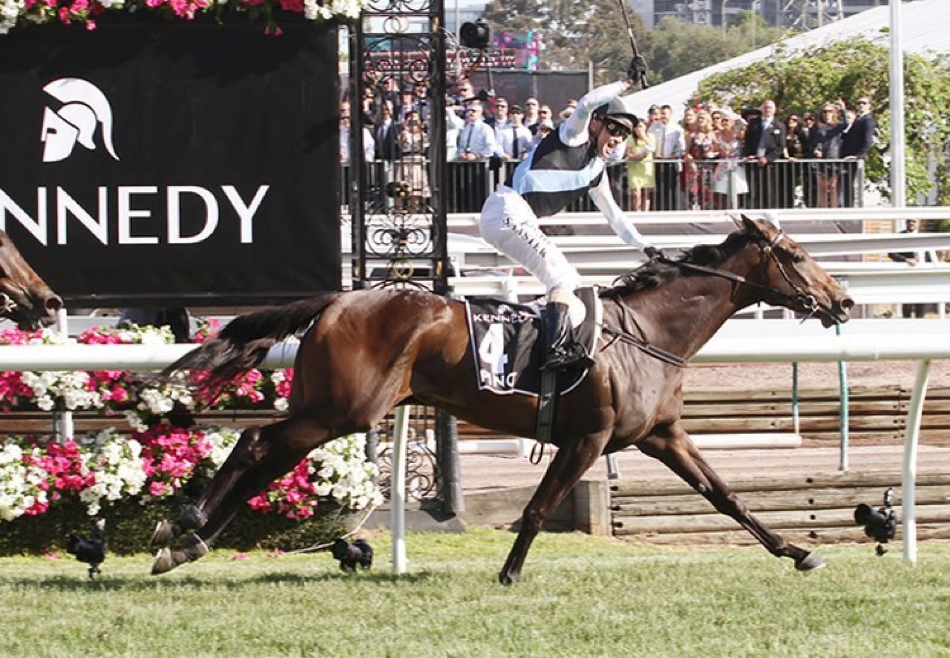 Pinot (Pierro) winning the VRC Oaks at Flemington