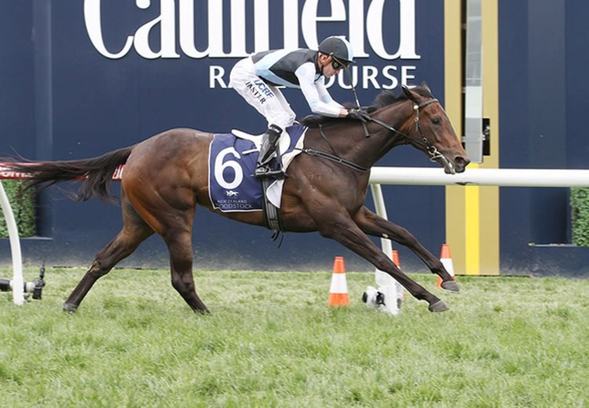 Group Three Winner for Pierro