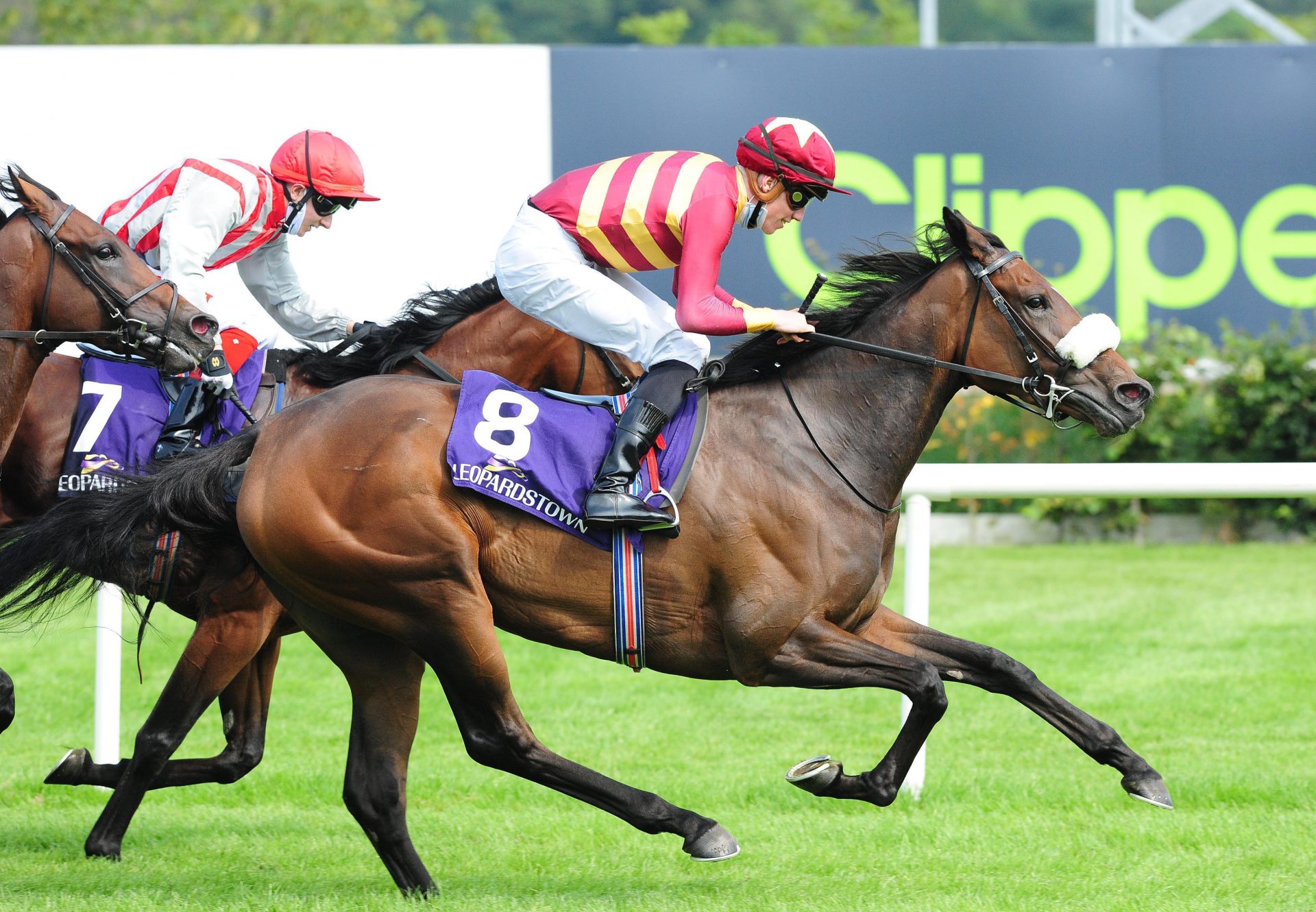 Pista (American Pharoah) Wins the Listed Vinnie Roe Stakes At Leopardstown