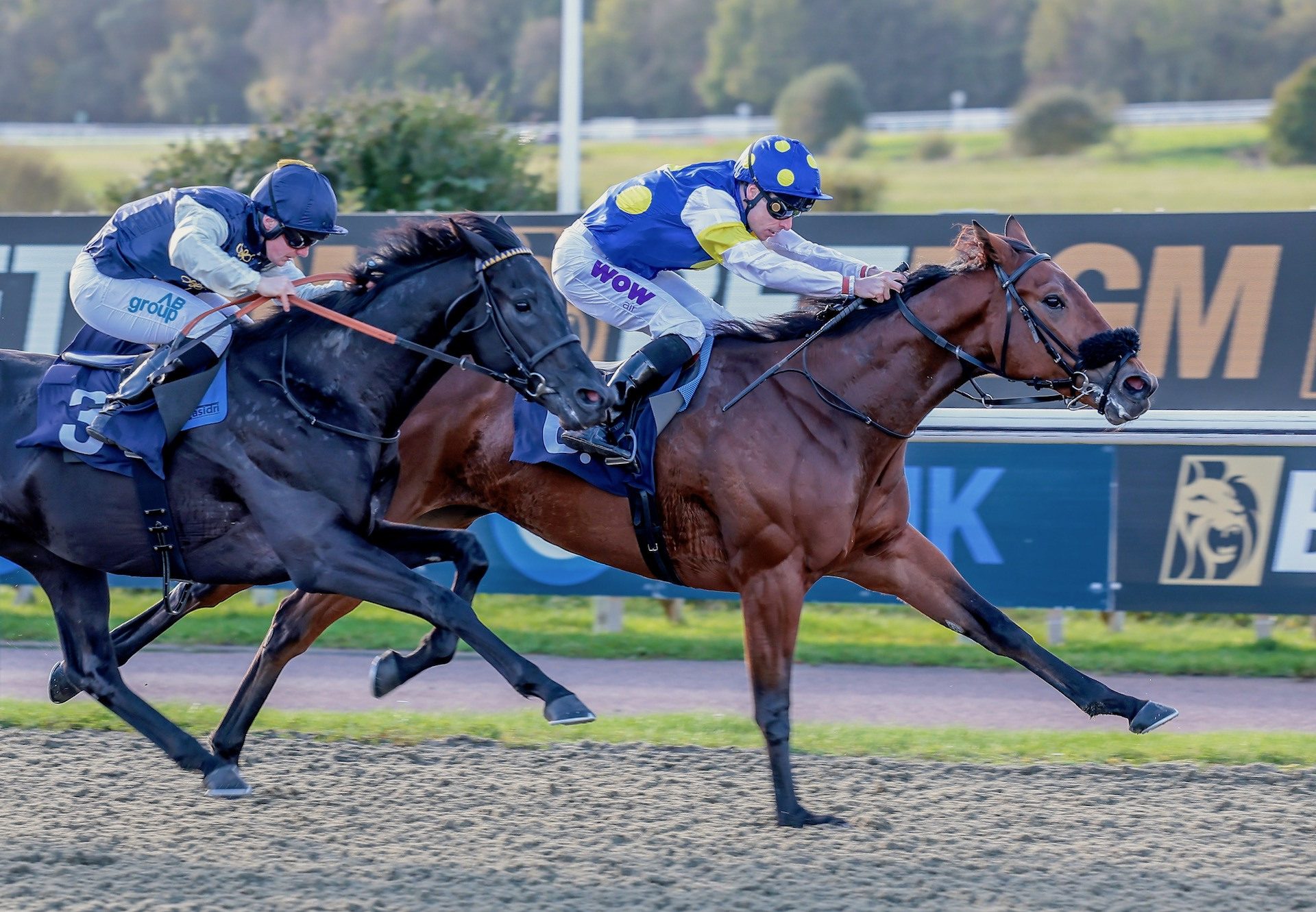 Placo (Starspangledbanner) Wins His Maiden at Lingfield