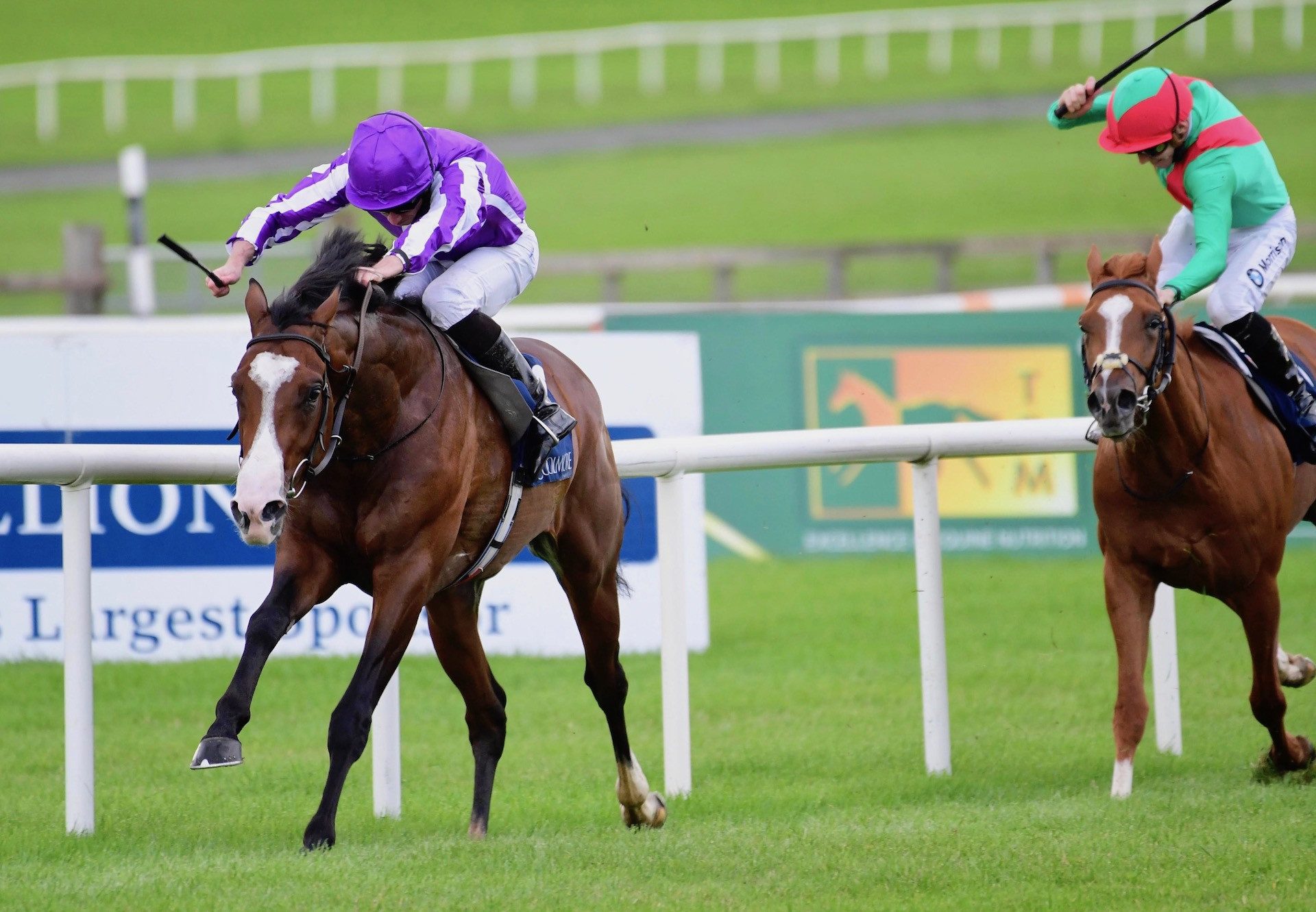 Point Lonsdale (Australia) Lands The Group 2 Futurity Stakes at the Curragh
