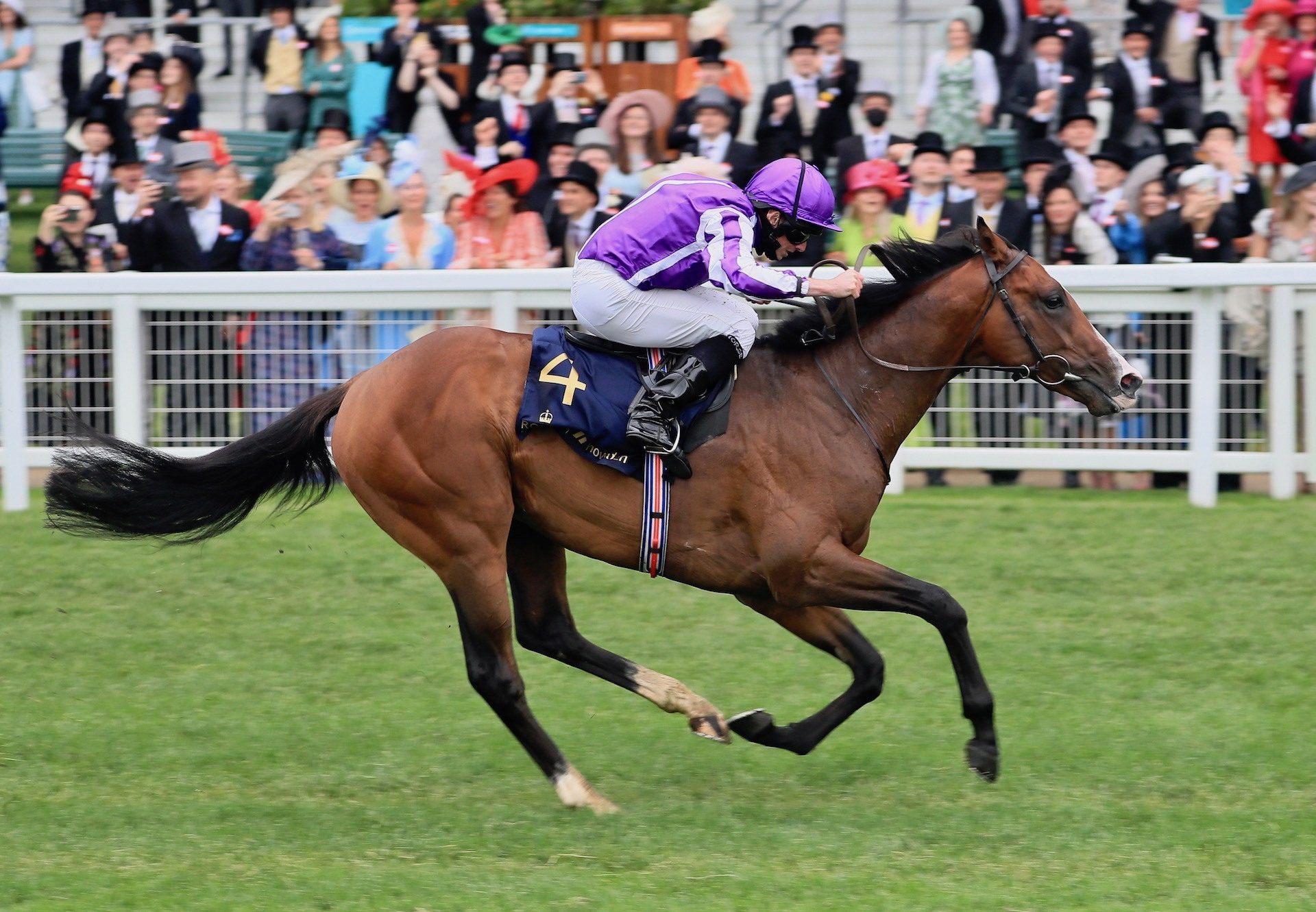 Point Lonsdale (Australia) Wins The Listed Chesham Stakes at Royal Ascot