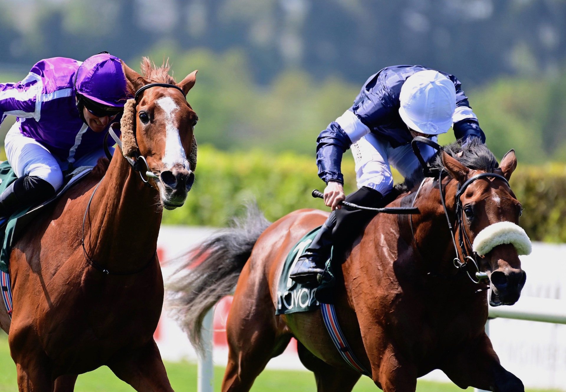 Point Nepean (Camelot) Makes A Winning Debut At Navan