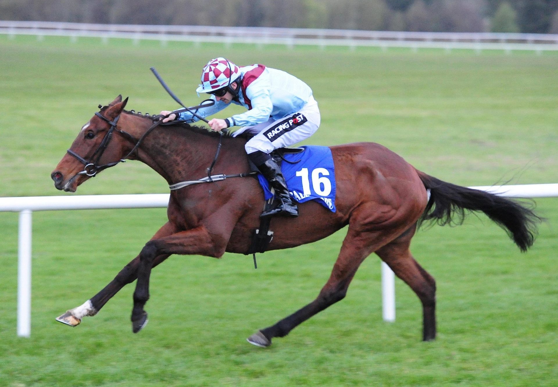 Pont Aval (Soldier Of Fortune) Wins At Ballinrobe