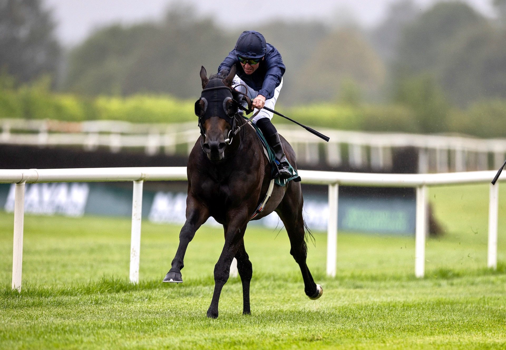 Pop Star (Sioux Nation) Wins His Maiden At Navan