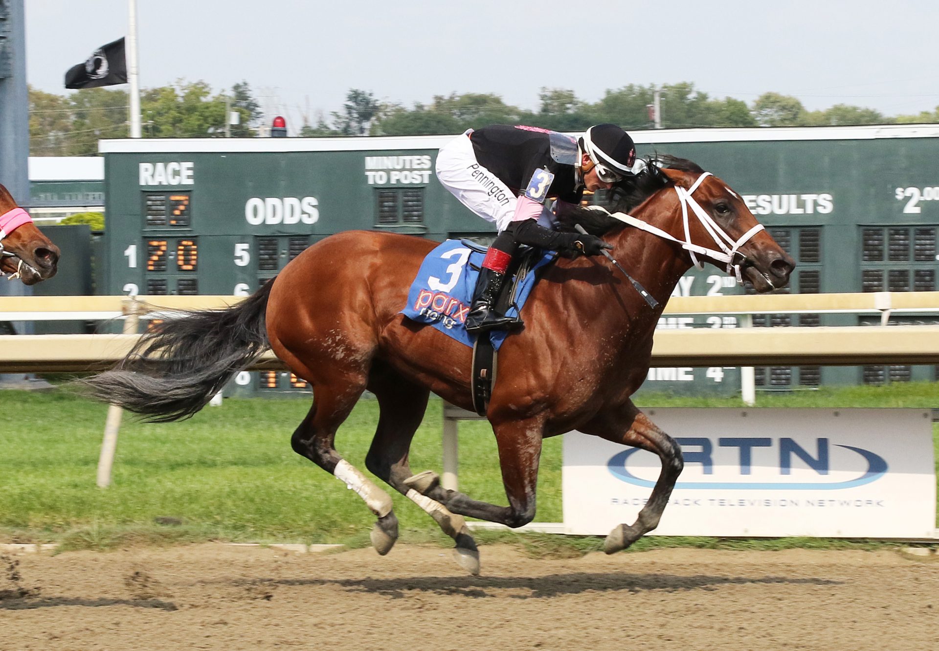 Practical Coach (Practical Joke) Msw Win At Parx