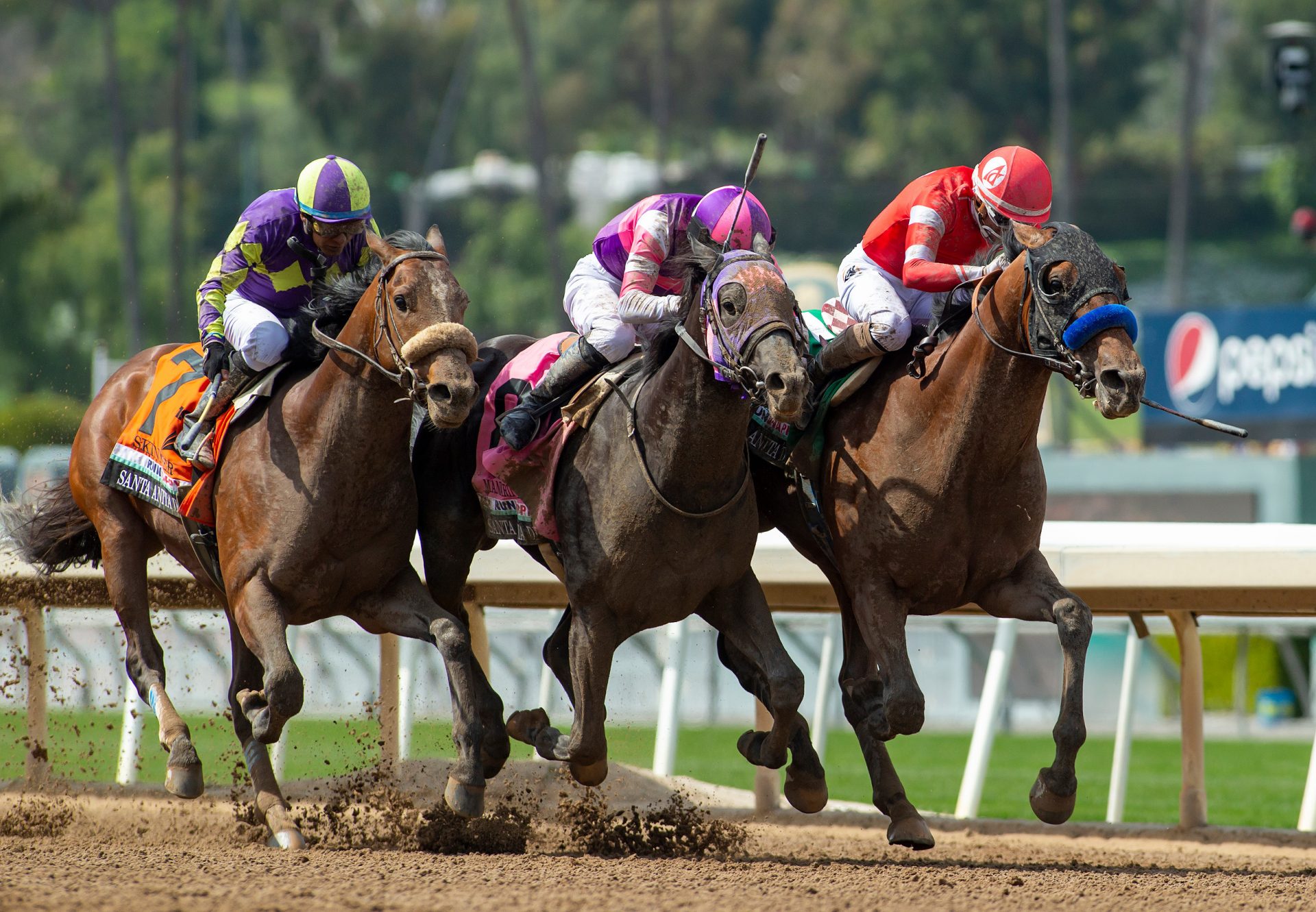 Practical Move (Practical Joke) Gr.1 Santa Anita Derby