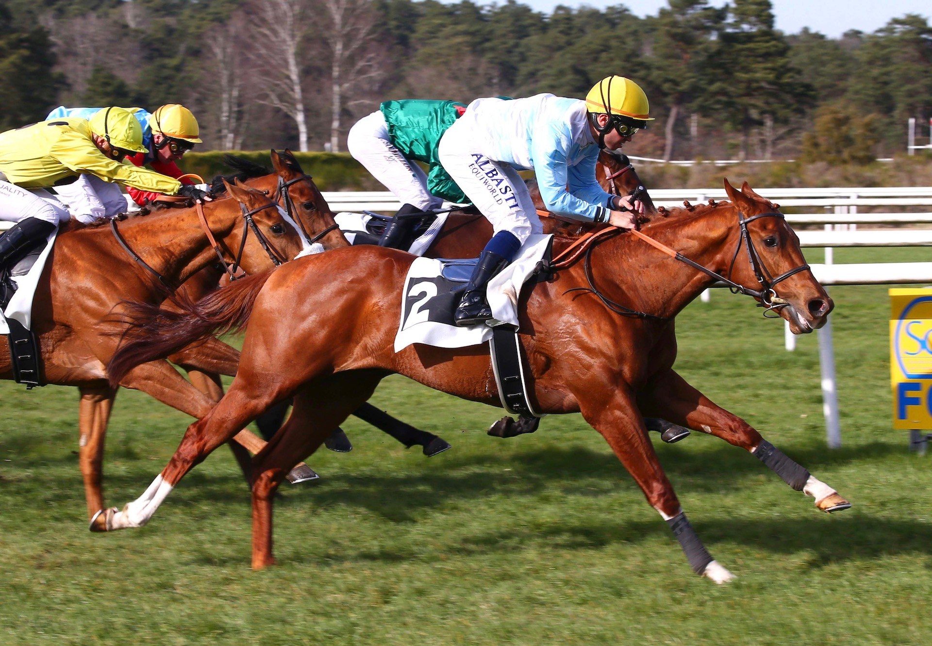 Pretexte (Churchill) Wins His Maiden At Fontainebleau