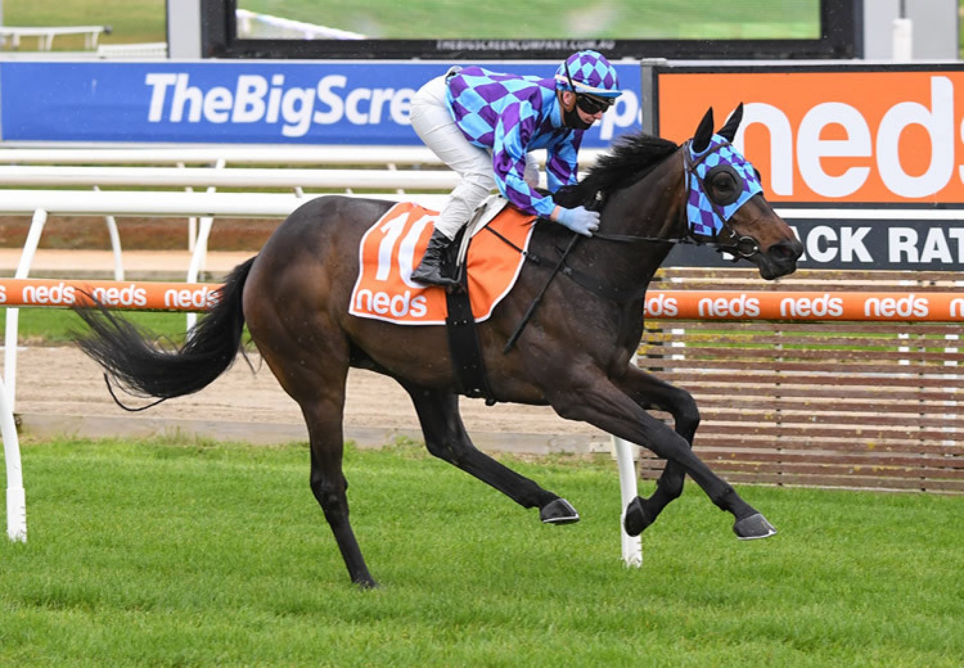 Pride of Jenni winning at Mornington