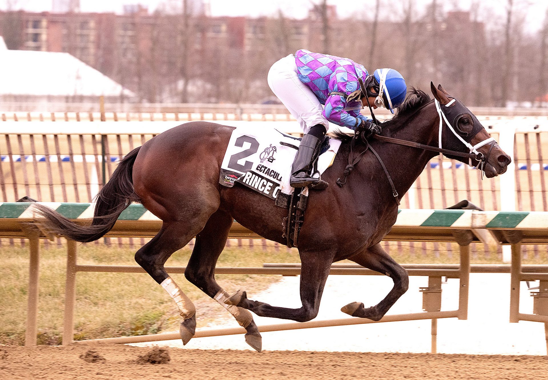 Prince Of Jericho (Munnings) wins Spectacular Bid Stakes at Laurel Park