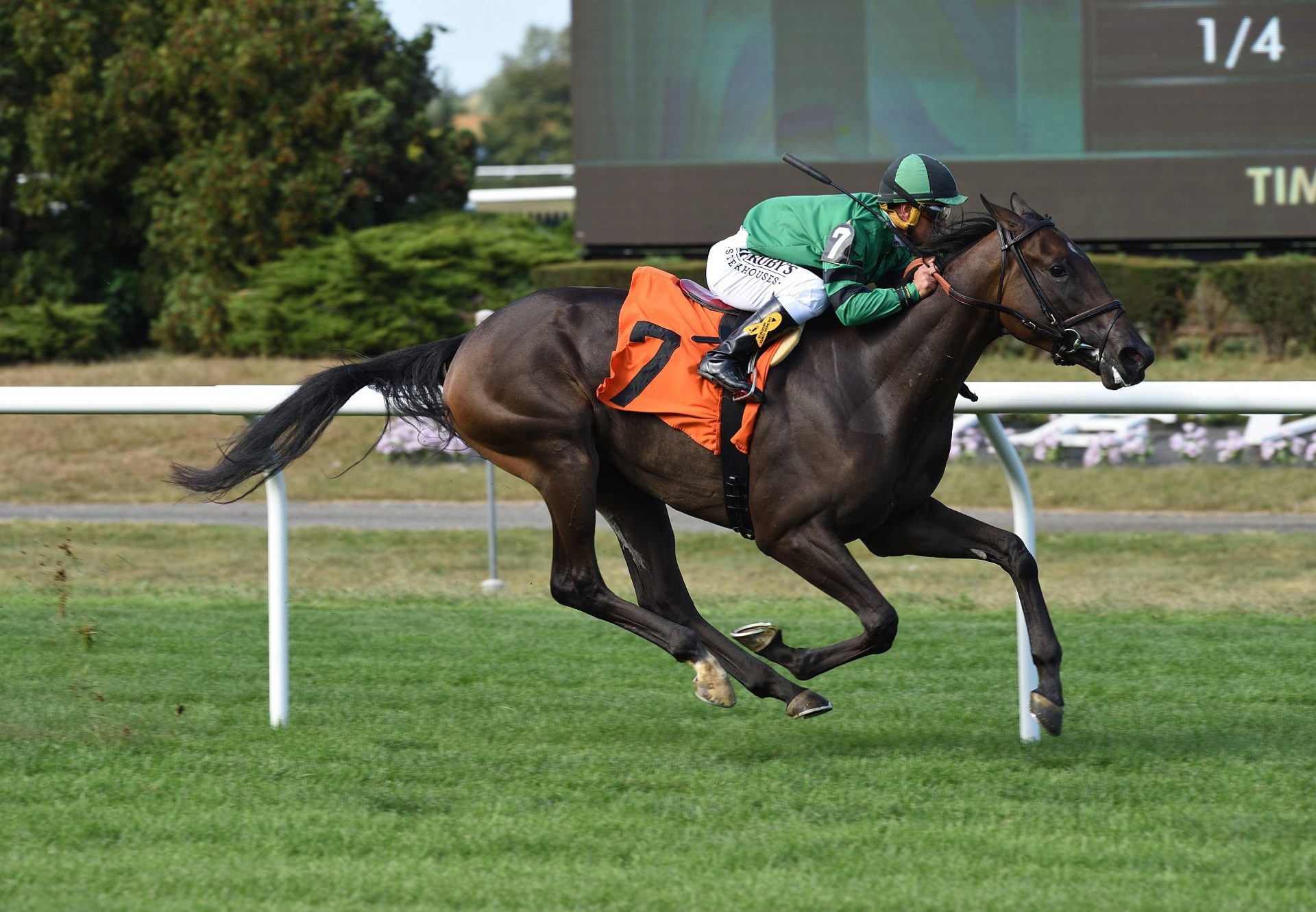 Princesa Caroline (American Pharoah) winning at Belmont Park